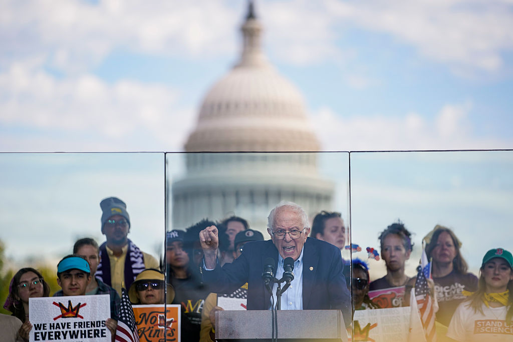 Bernie