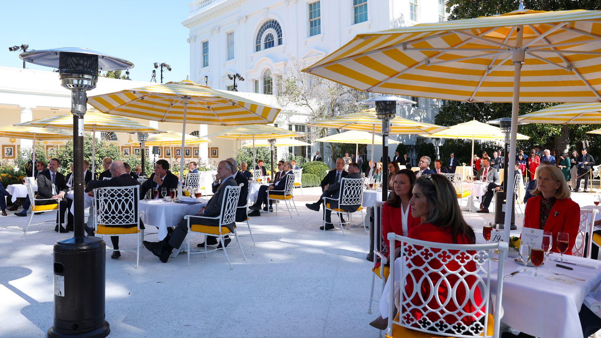 The «Rose Garden Club»