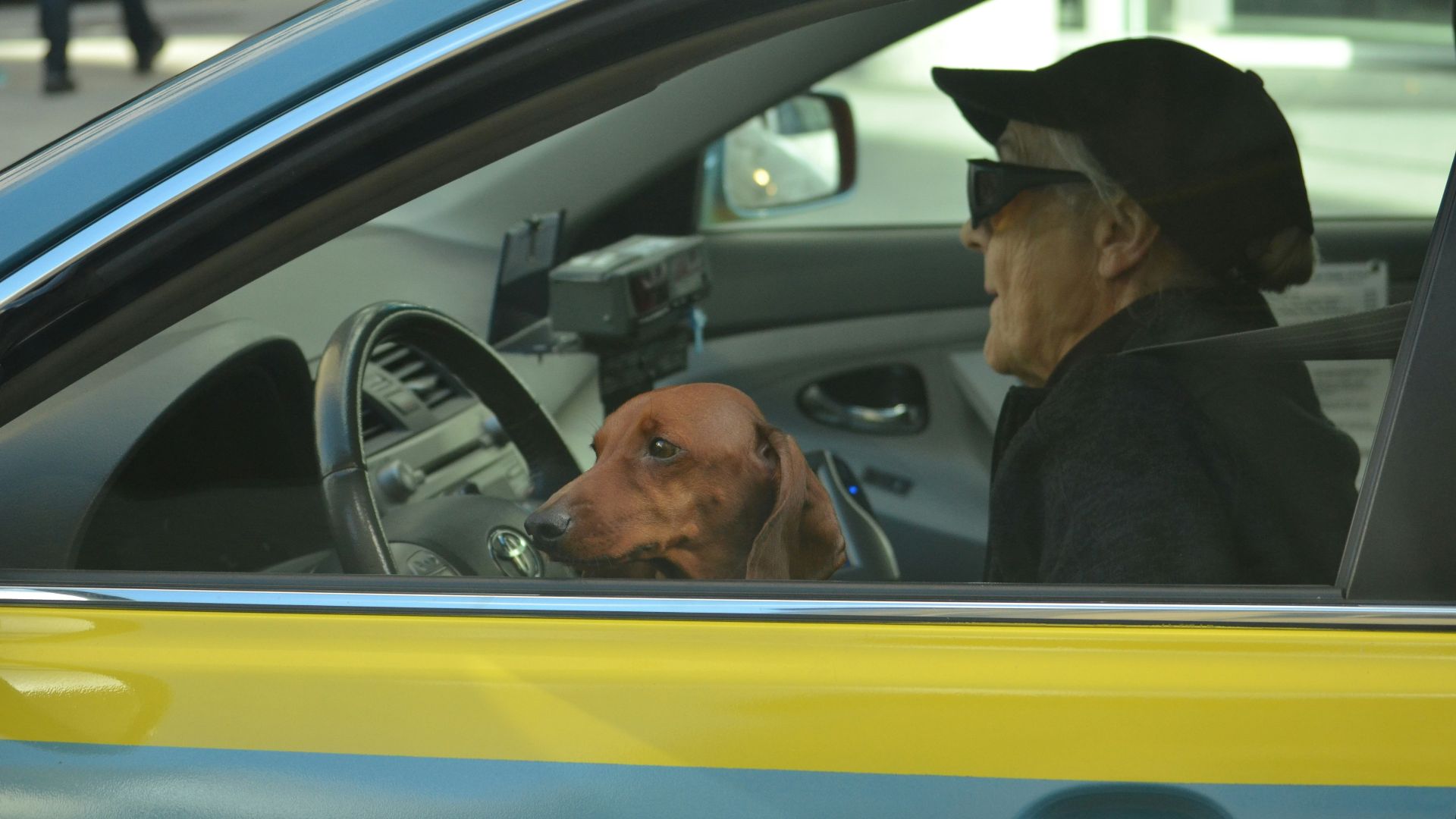 17. Conduire une vraie voiture