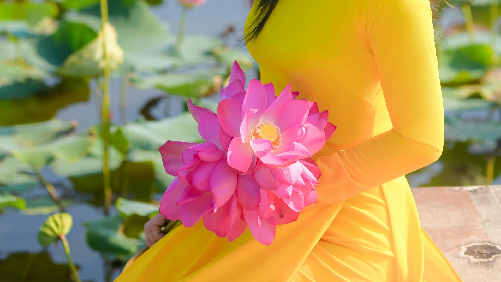 14. Jaune canari et fuchsia