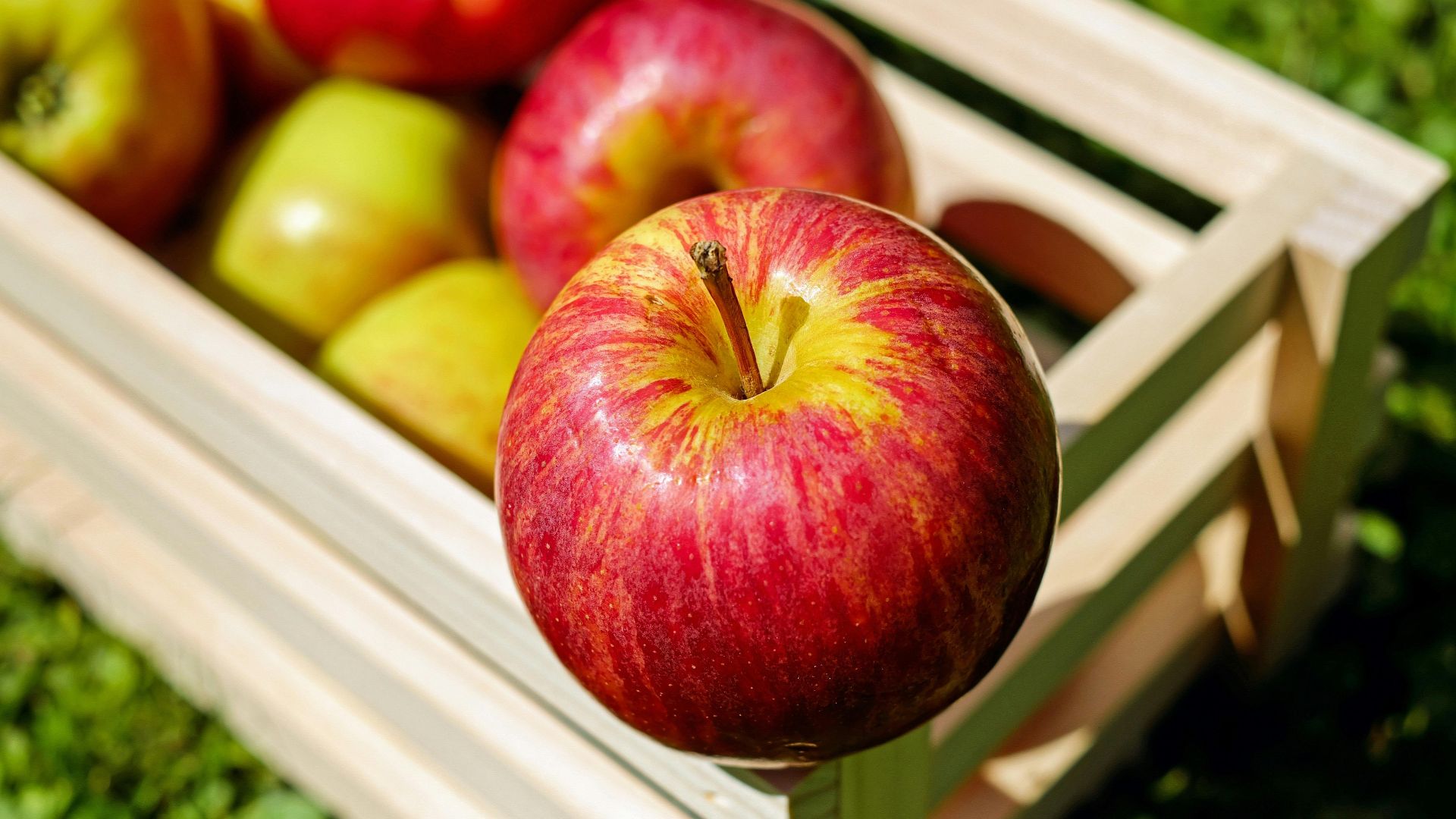 1. Pommes