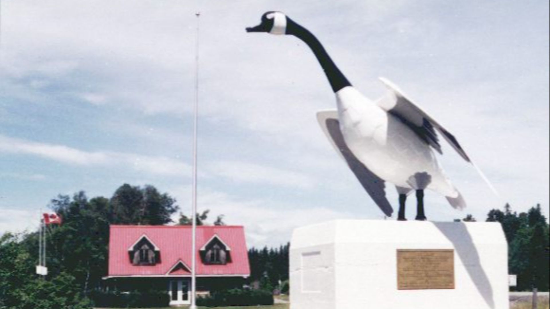 6. L'oie de Wawa