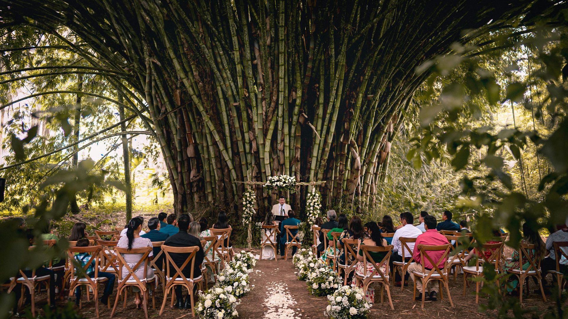1. Cérémonie en forêt au milieu d'un feuillage flamboyant