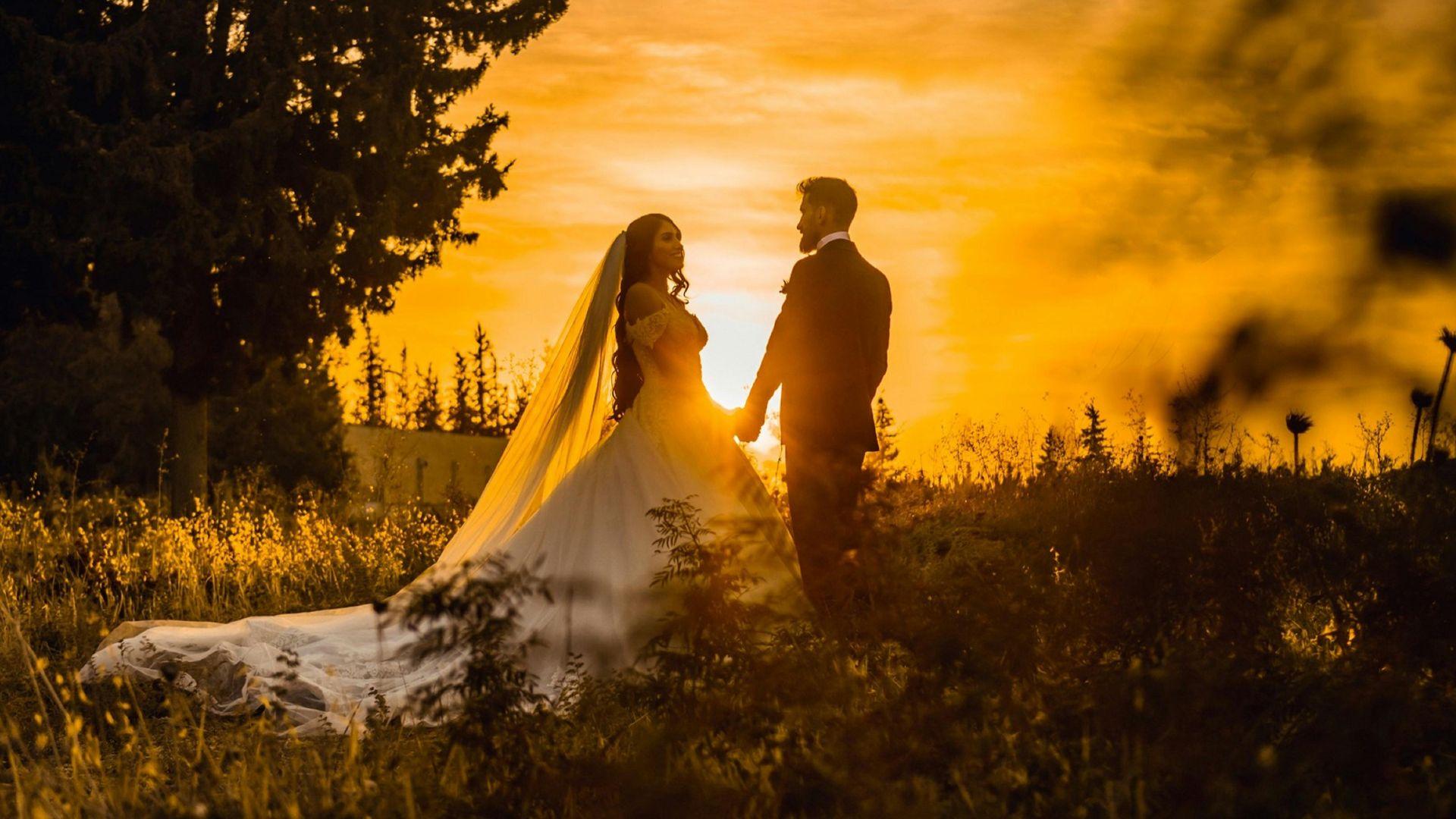 15. Photoshoot de feuilles à l'heure d'or