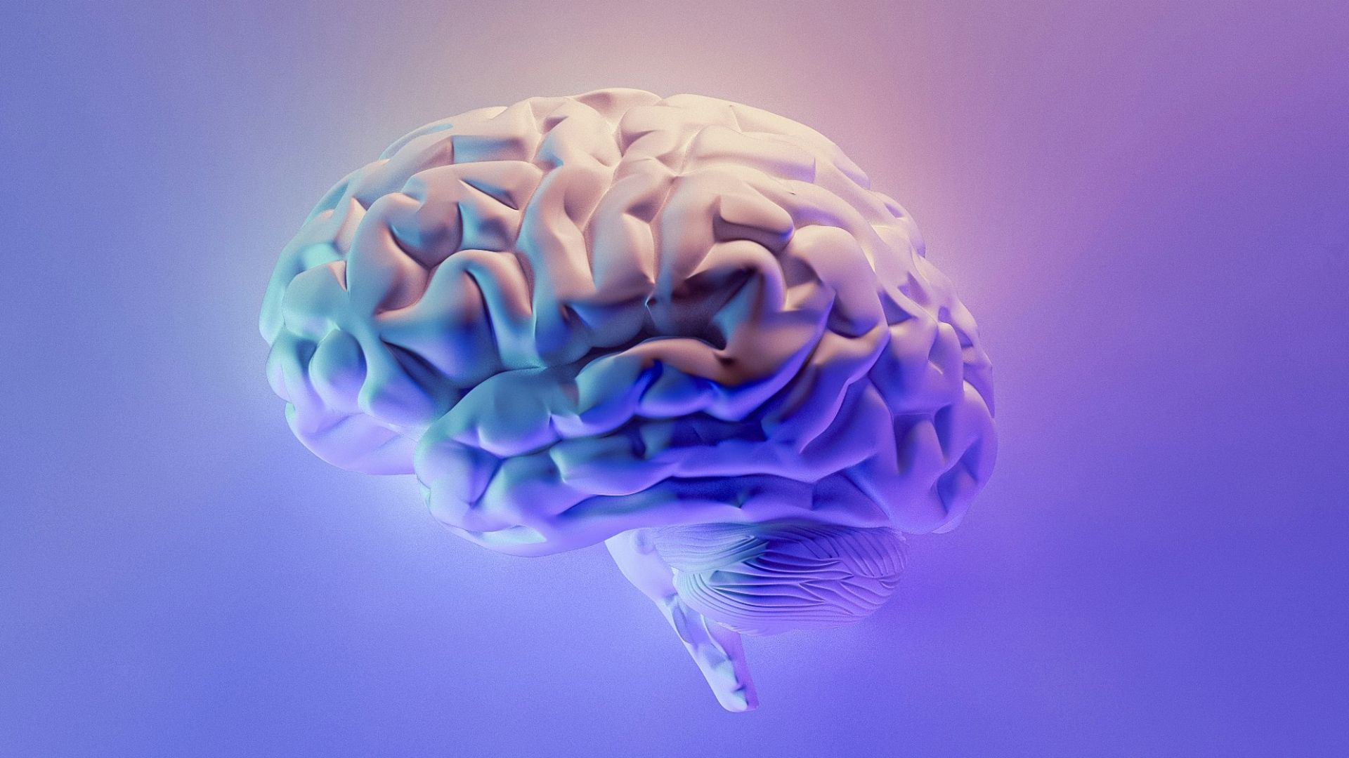 10. Communiquer avec le cerveau
