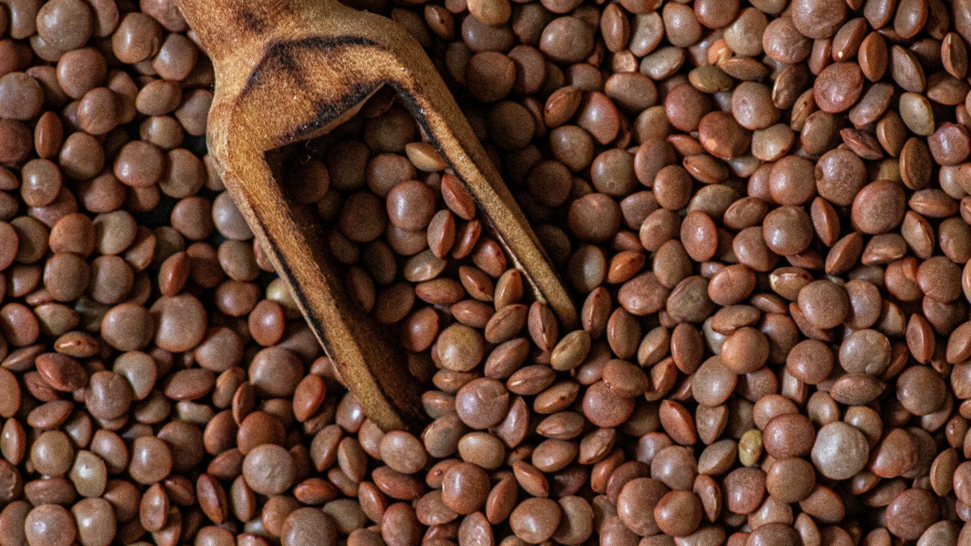 4. Lentilles
