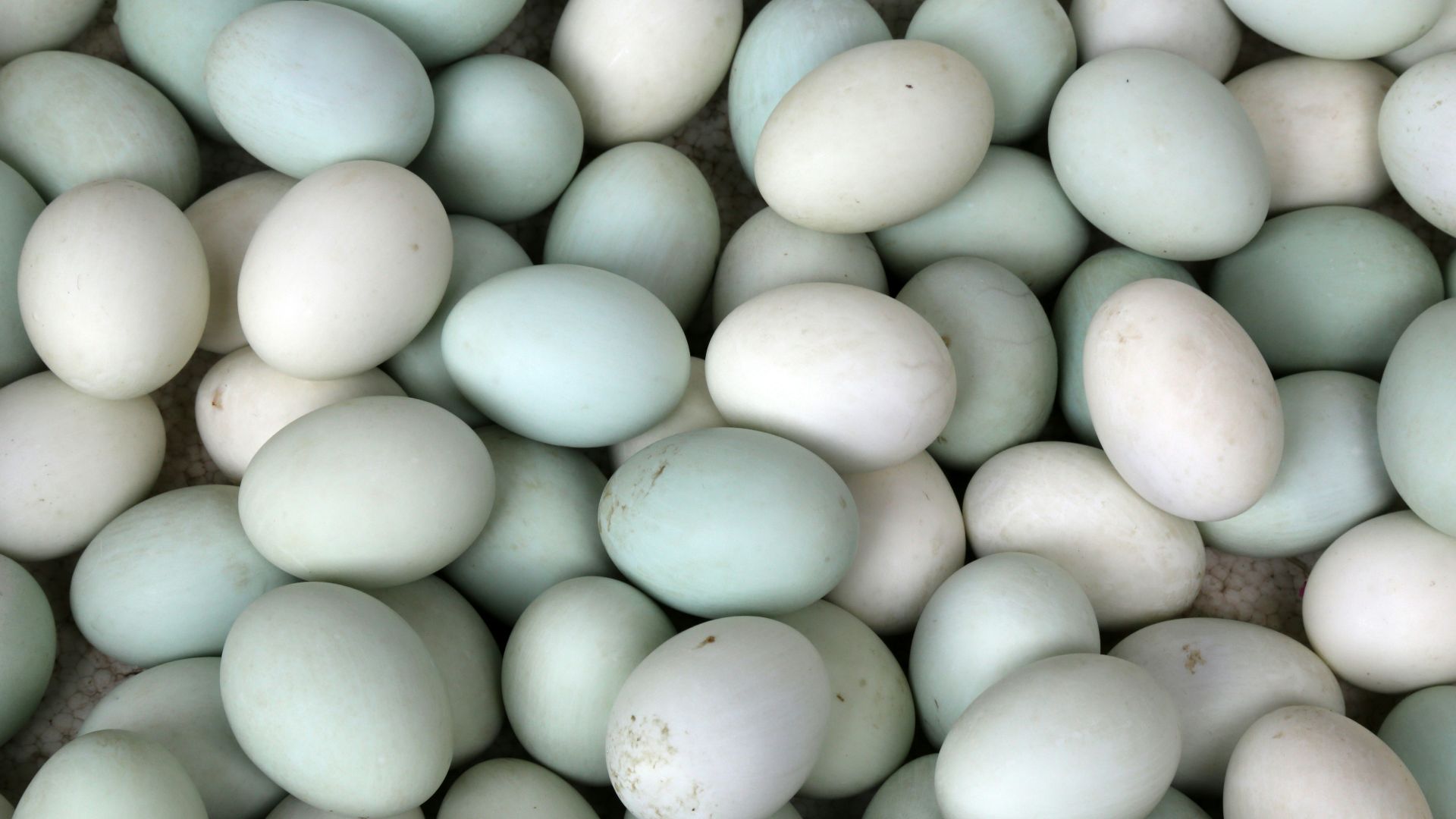 1. Blancs d'œufs