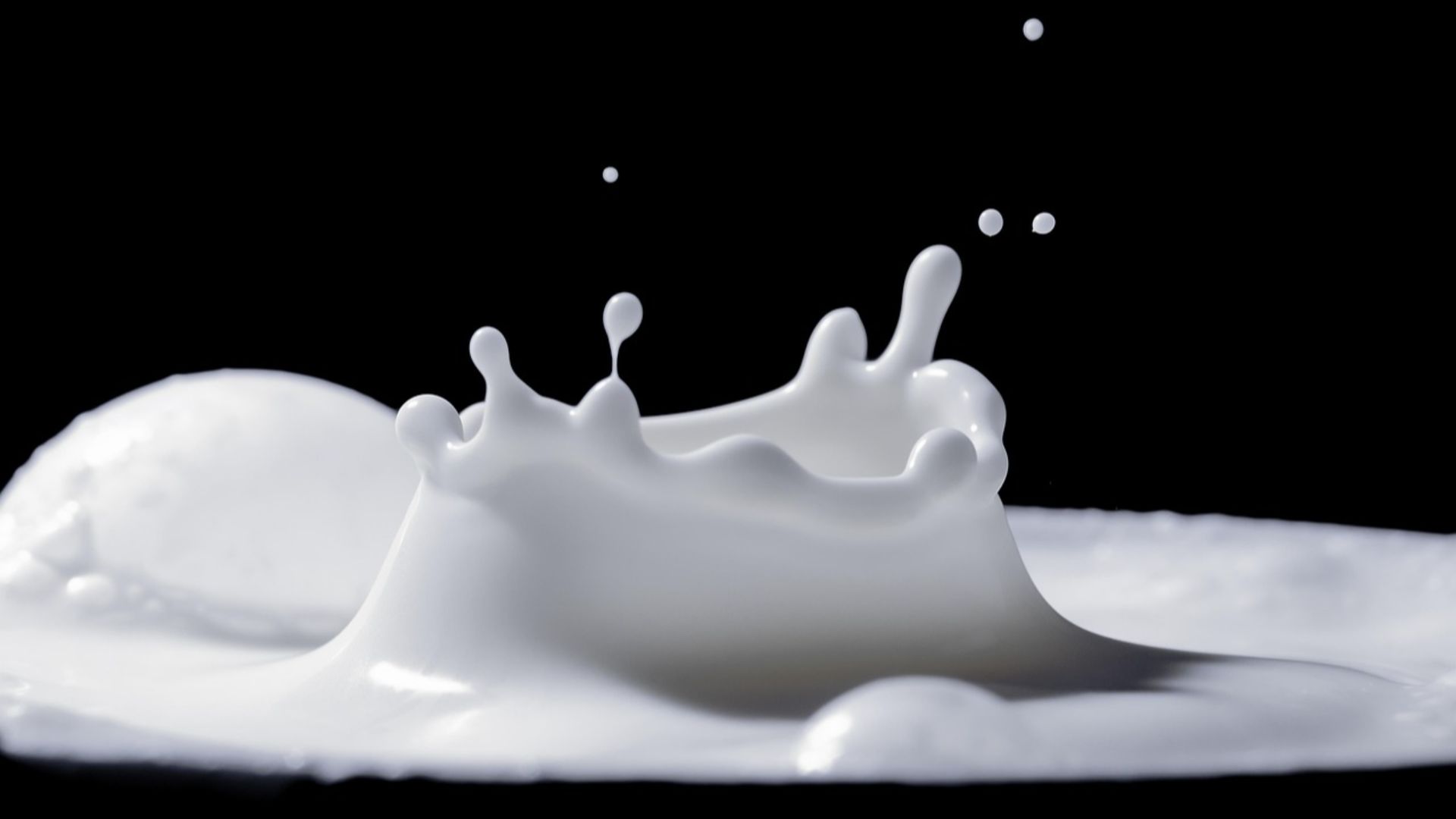 15. Lait