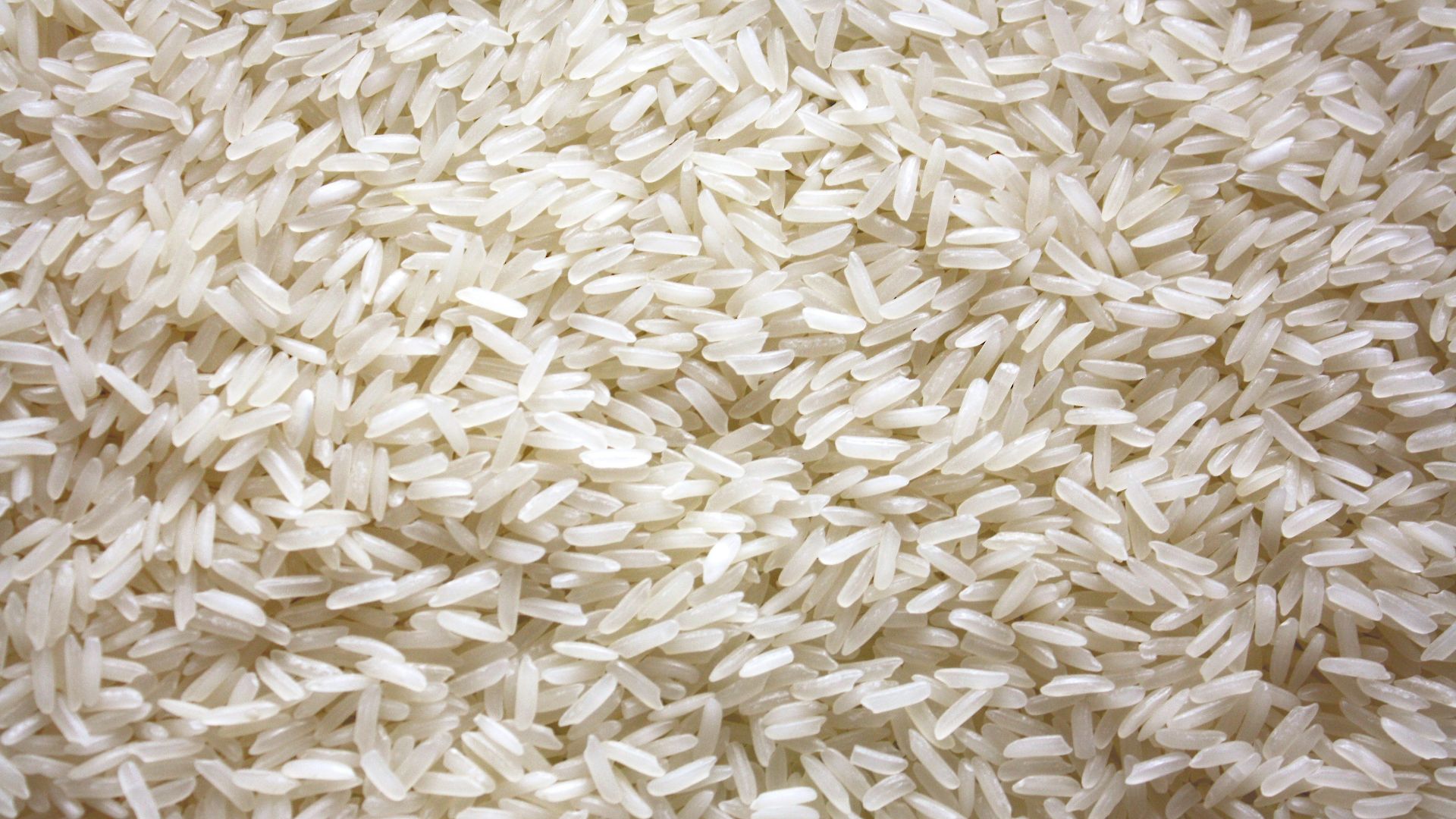 18. Riz