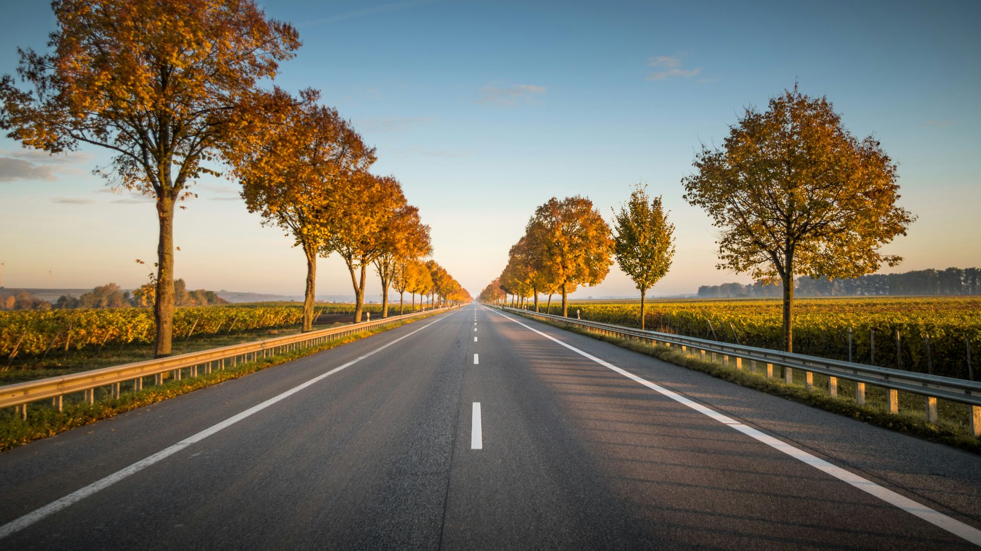 18. Détection intelligente de l'état des routes