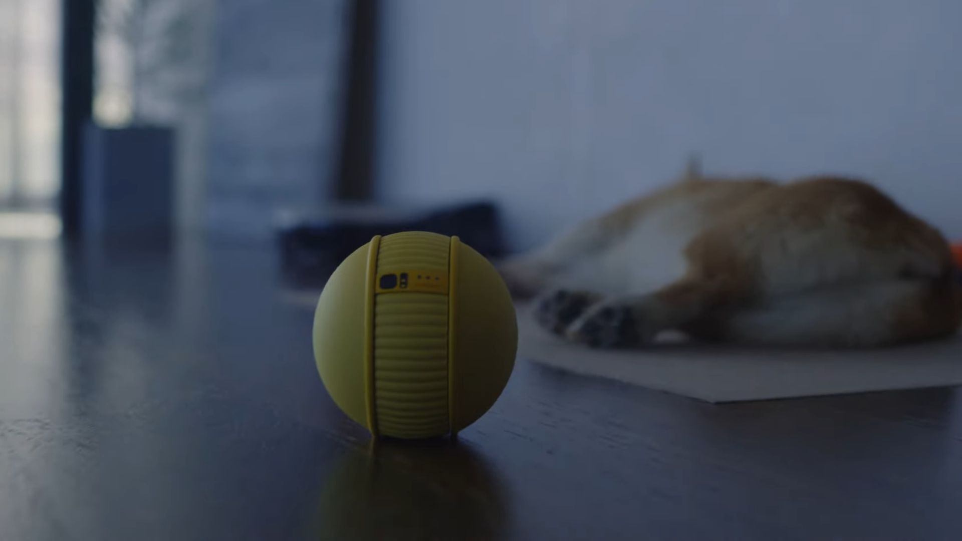 5. Robot roulant Ballie