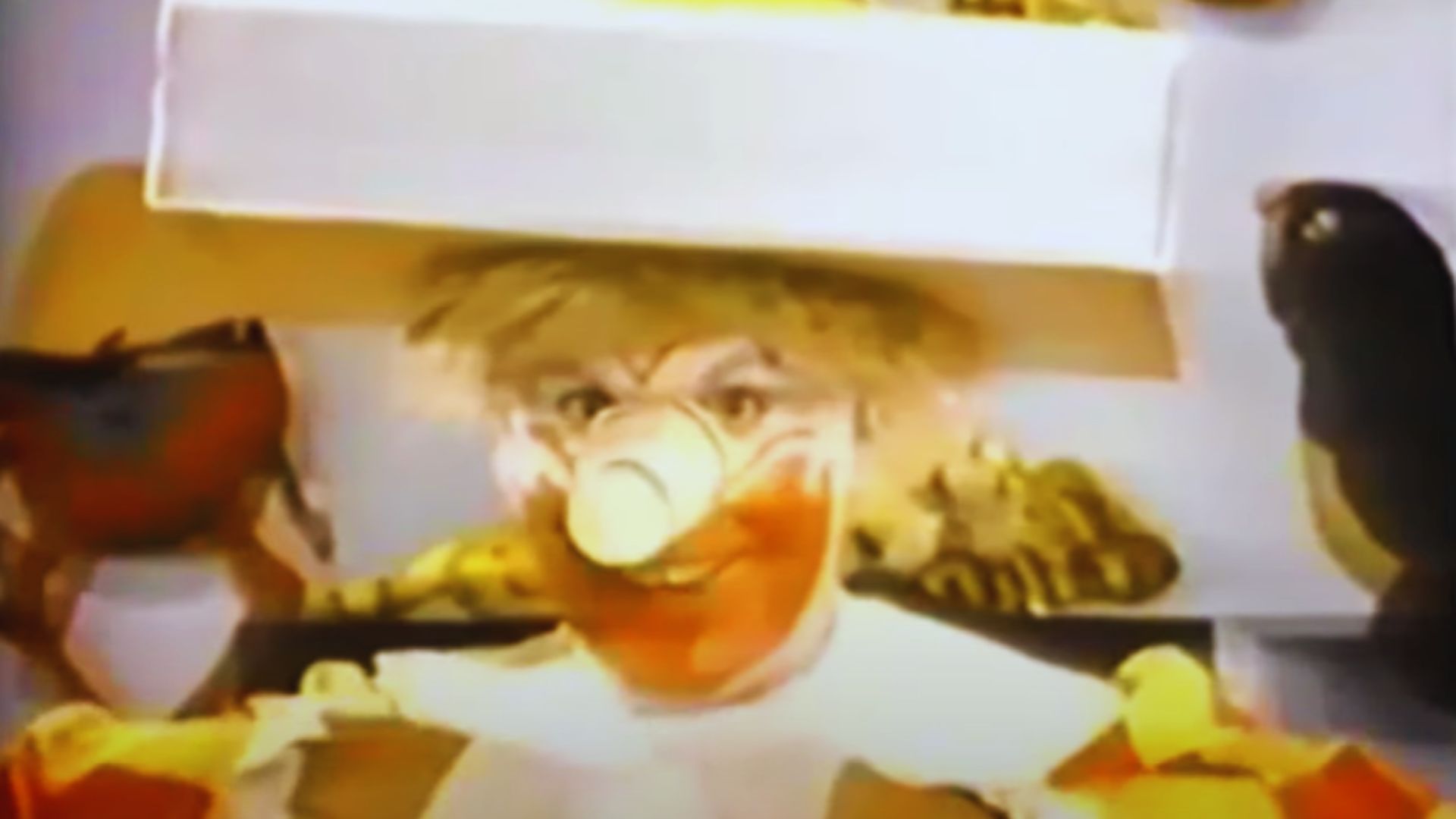 15. Ronald McDonald a été joué pour la première fois par un présentateur météo à la télévision