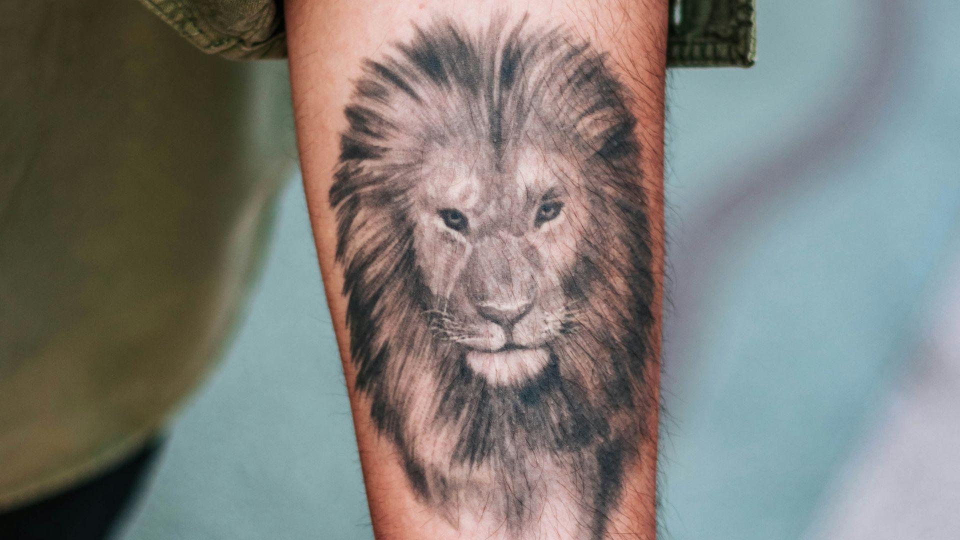 3. Lion