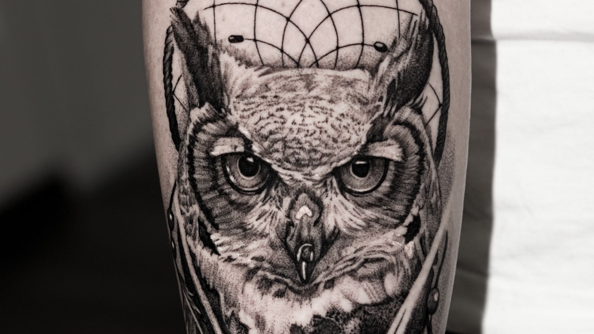 8. Hibou
