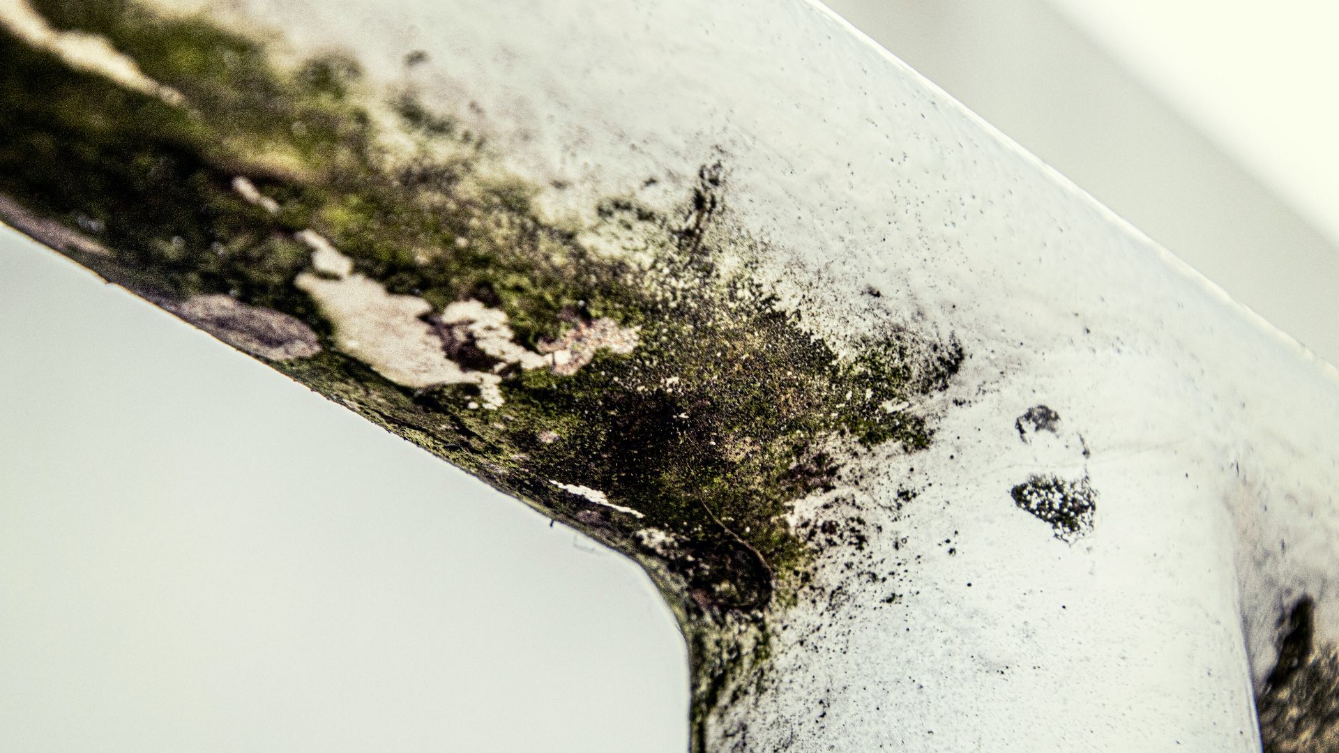 7. Test urinaire de dépistage des mycotoxines