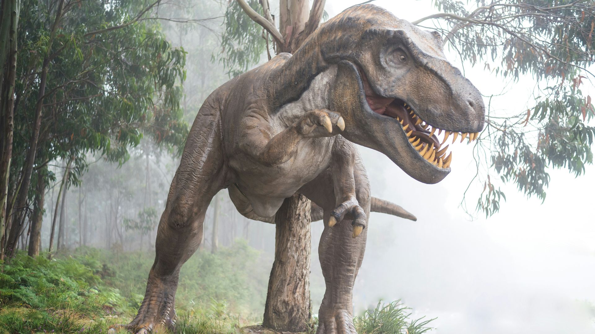 15. Dinosaures