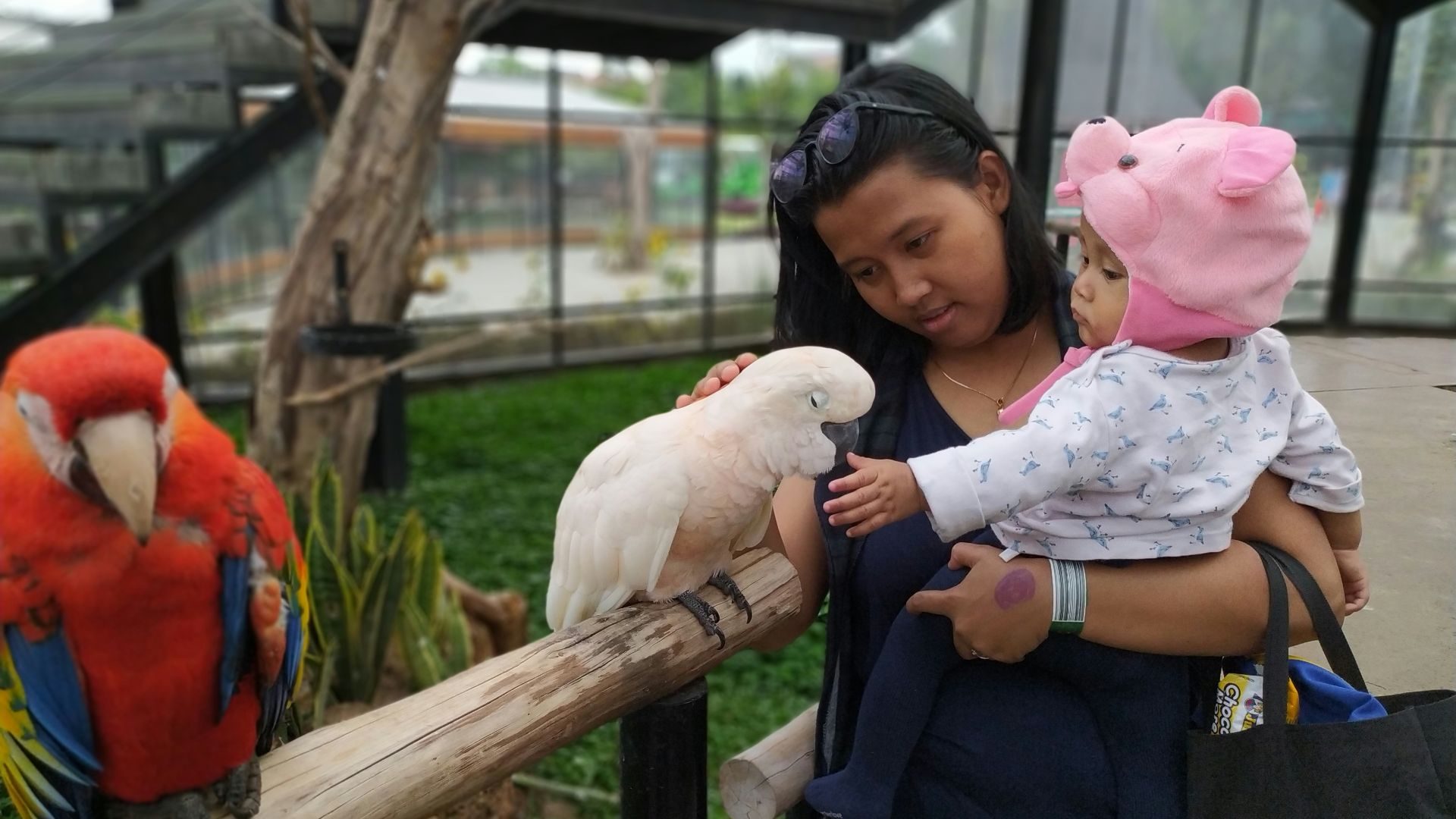20. Première fois au zoo pour enfants