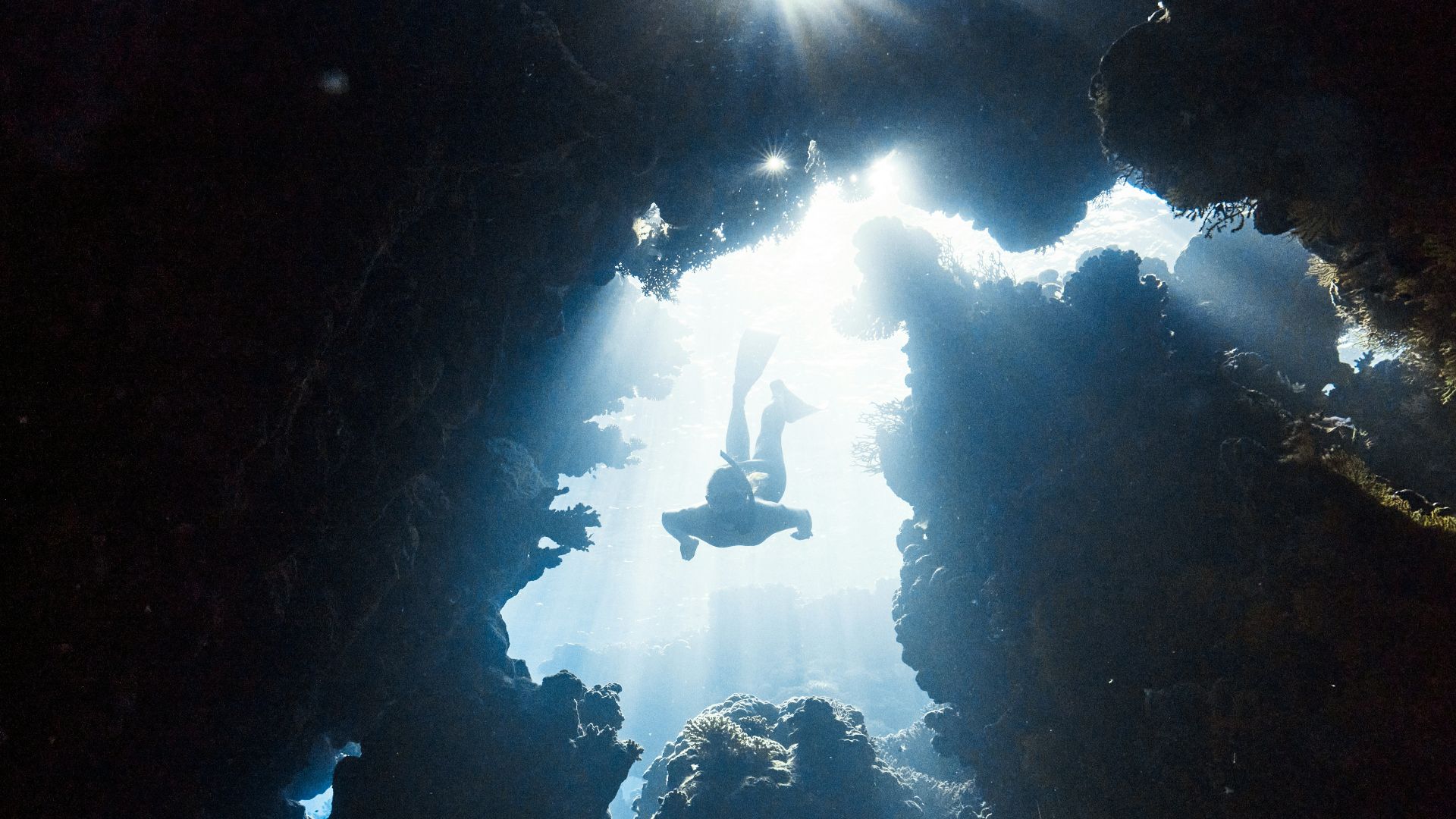 10. Plongée sous-marine