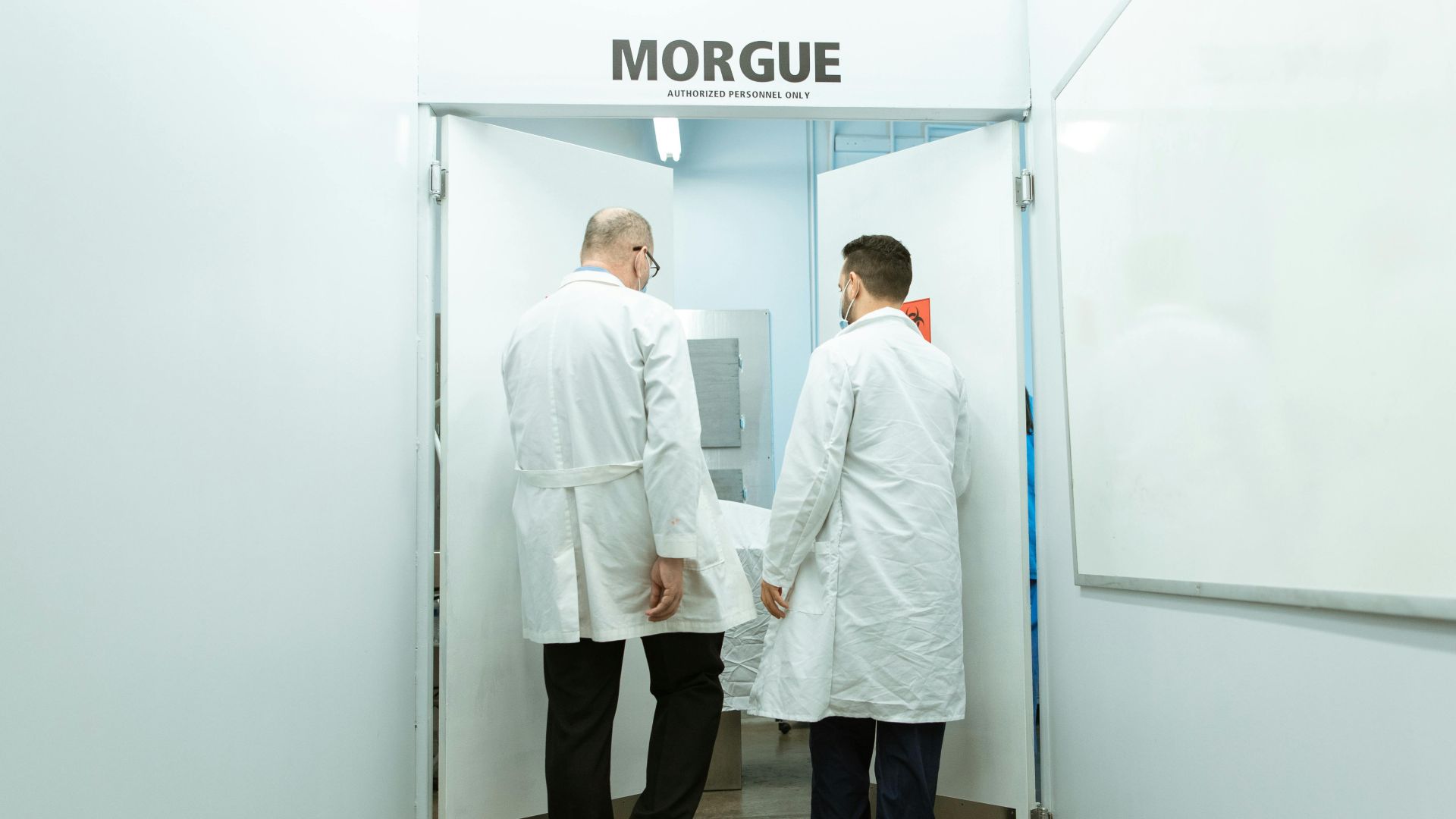 6. Sciences mortuaires