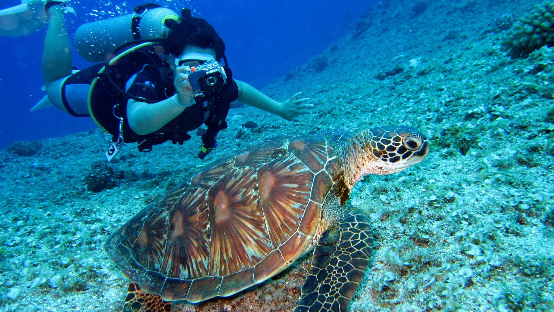 7. Biologie marine