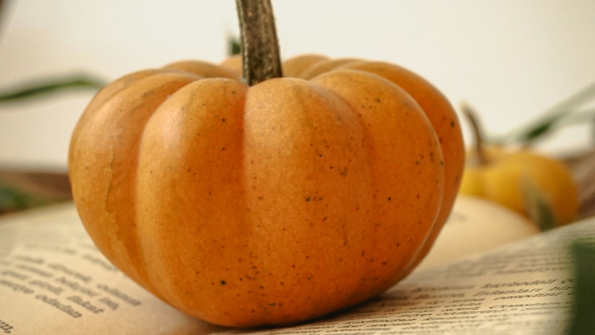 12. Lire des livres appropriés pour Halloween