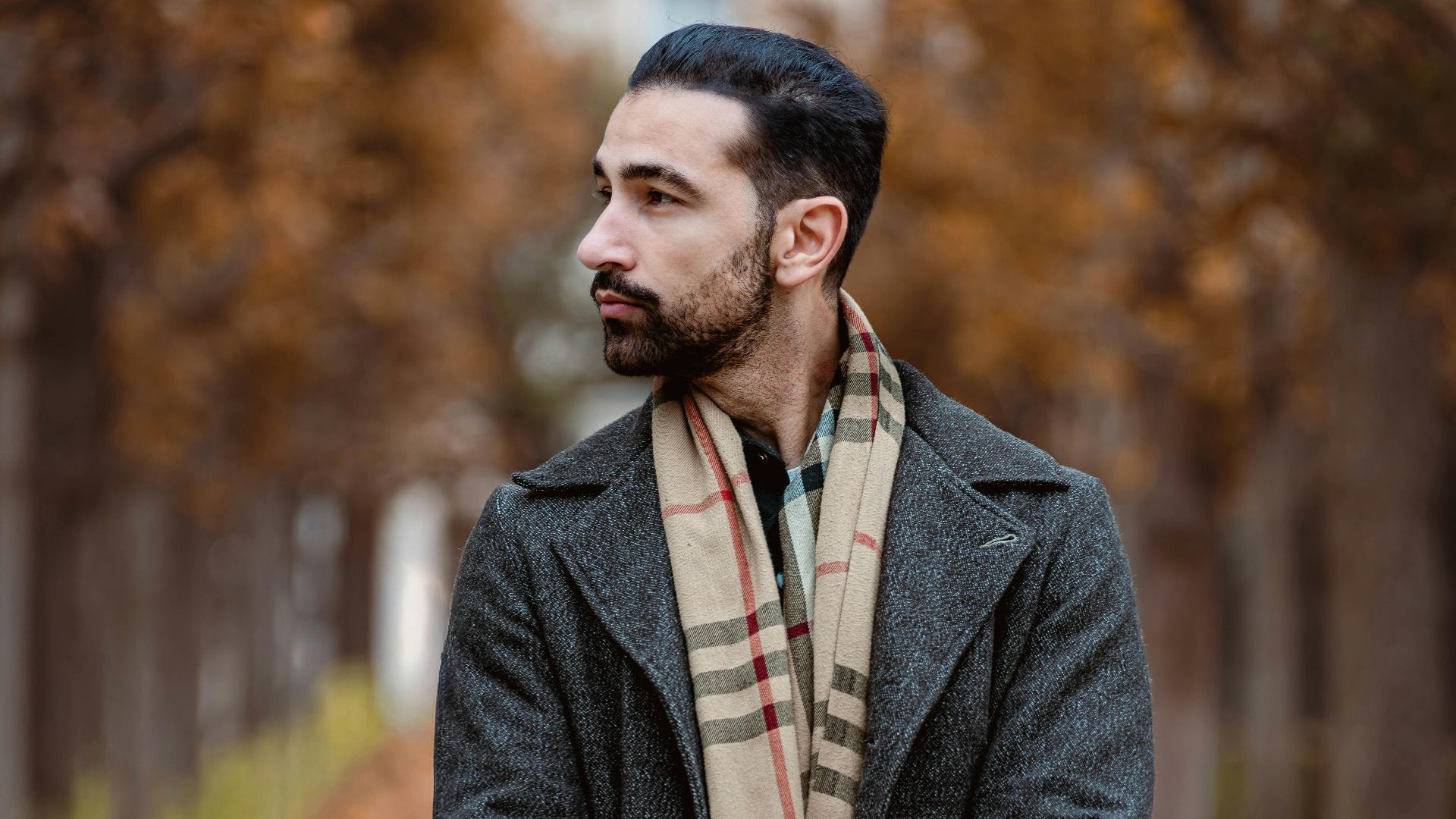 19. L'écharpe bombardier