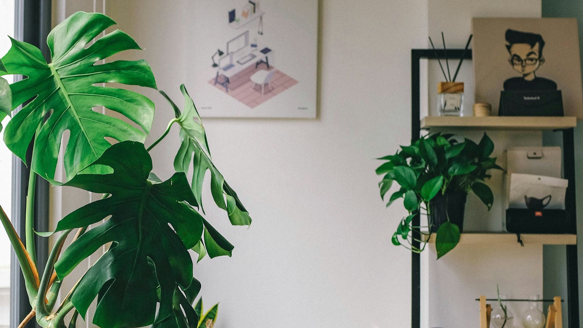 10. Parce qu'elles sont jolies
