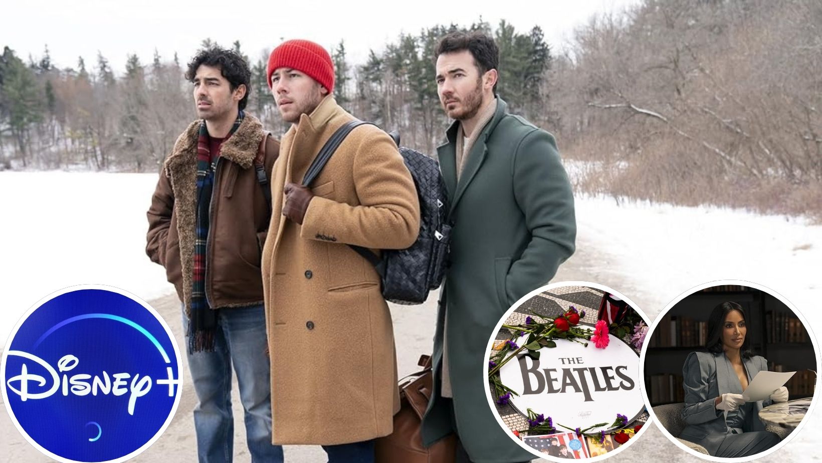 8 nouveautés à voir sur Disney+ en novembre