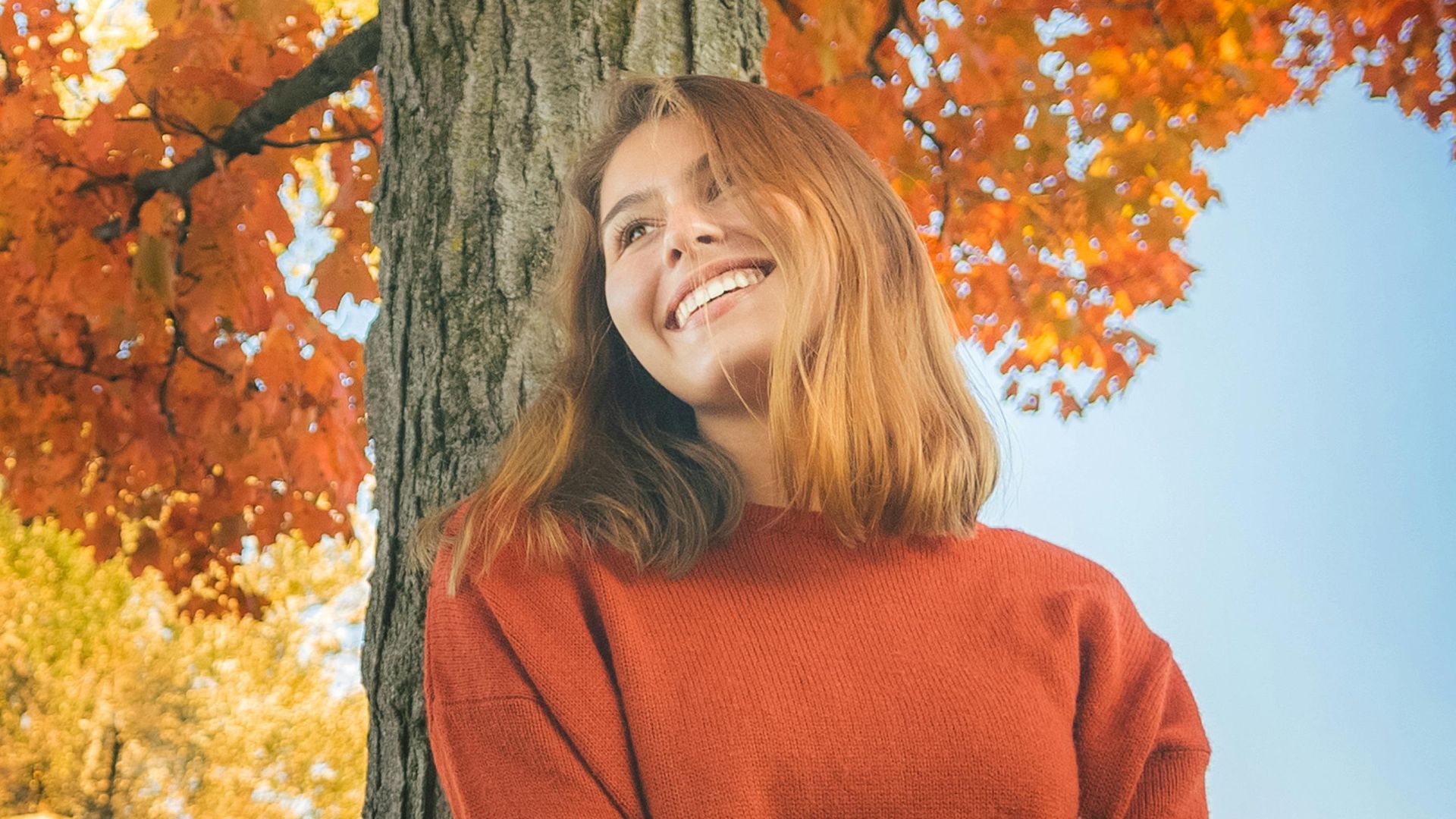 1. Un feuillage d'automne éclatant