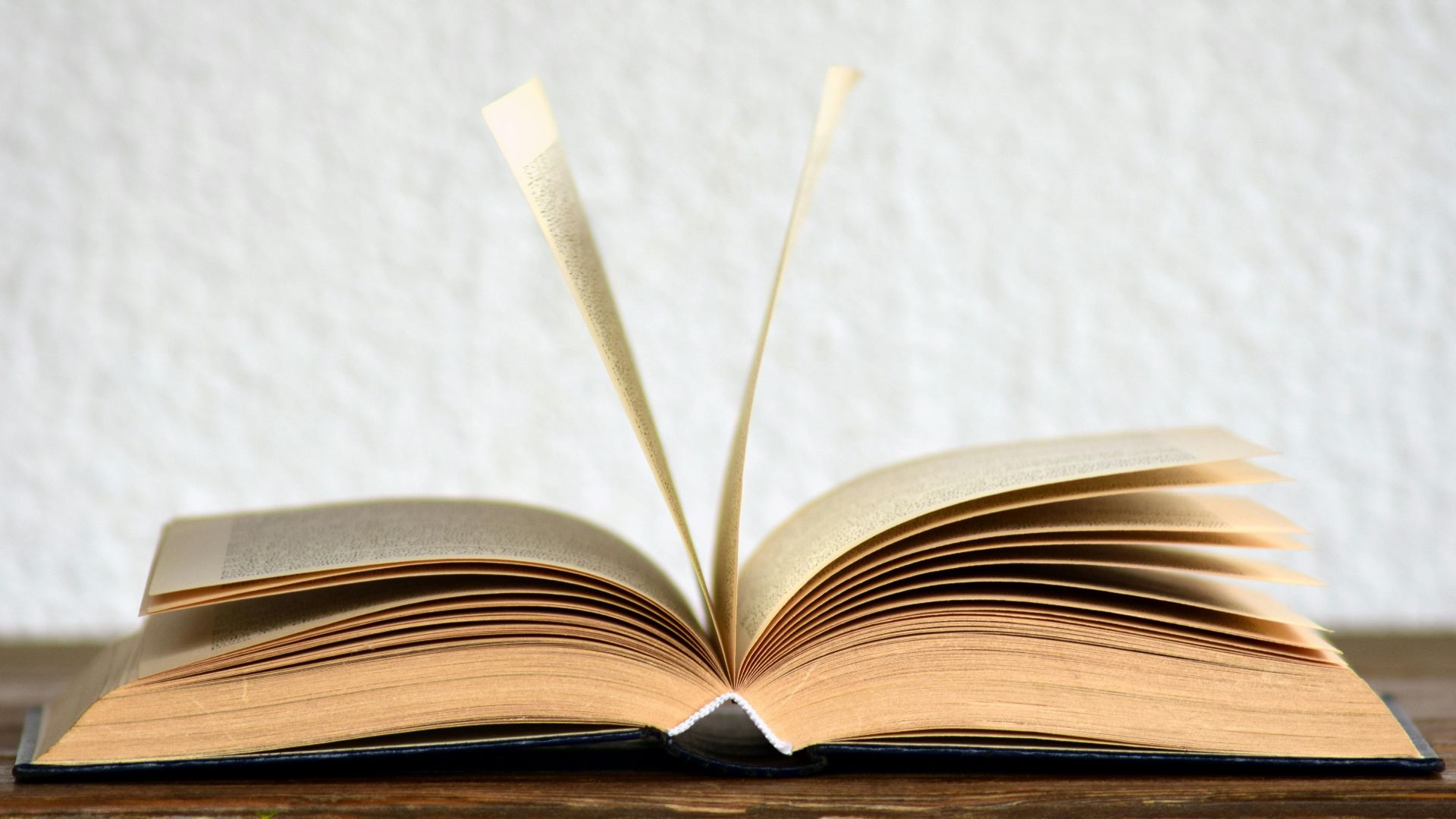 11. Schéma du livre ouvert