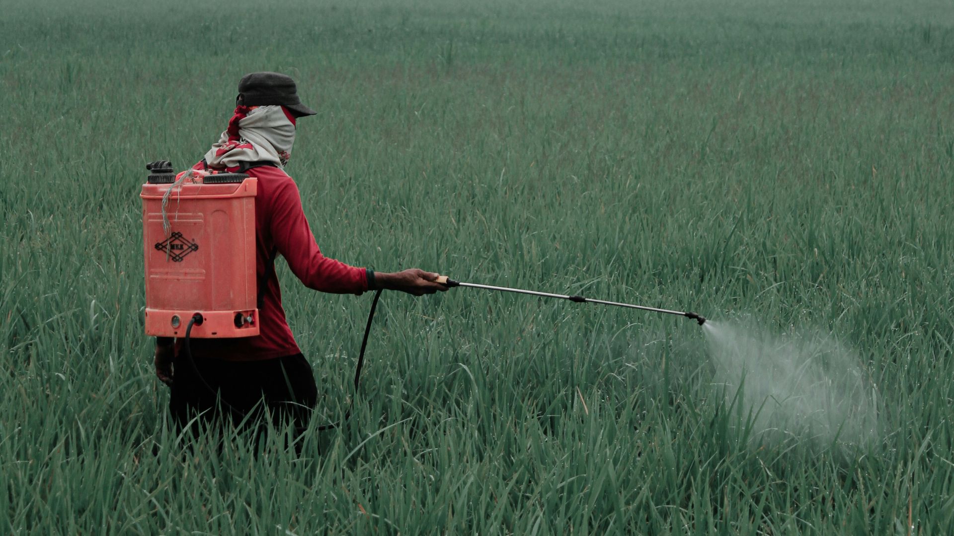 1. Évite l'exposition aux pesticides