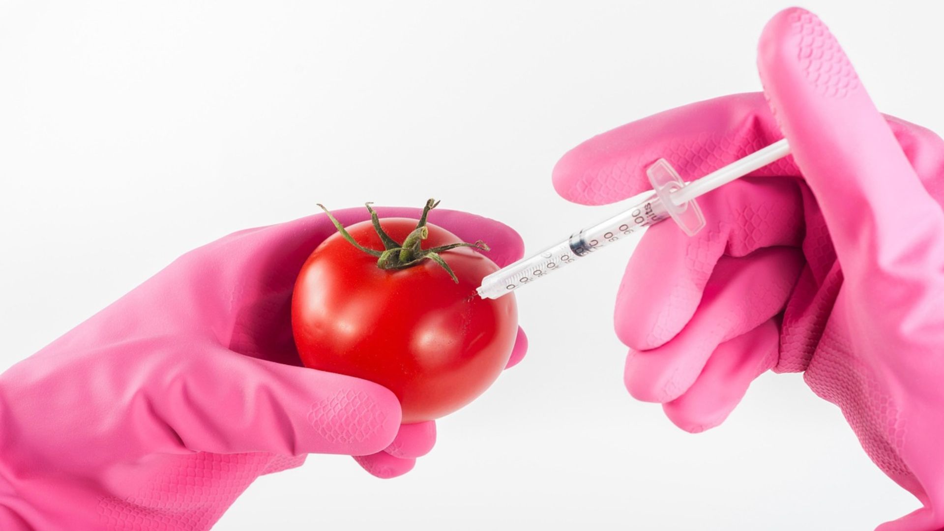 3. Empêche les OGM de pénétrer dans vos aliments