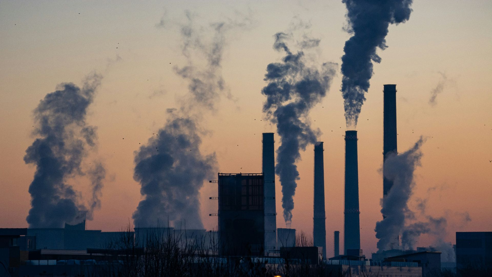 6. Moins de pollution