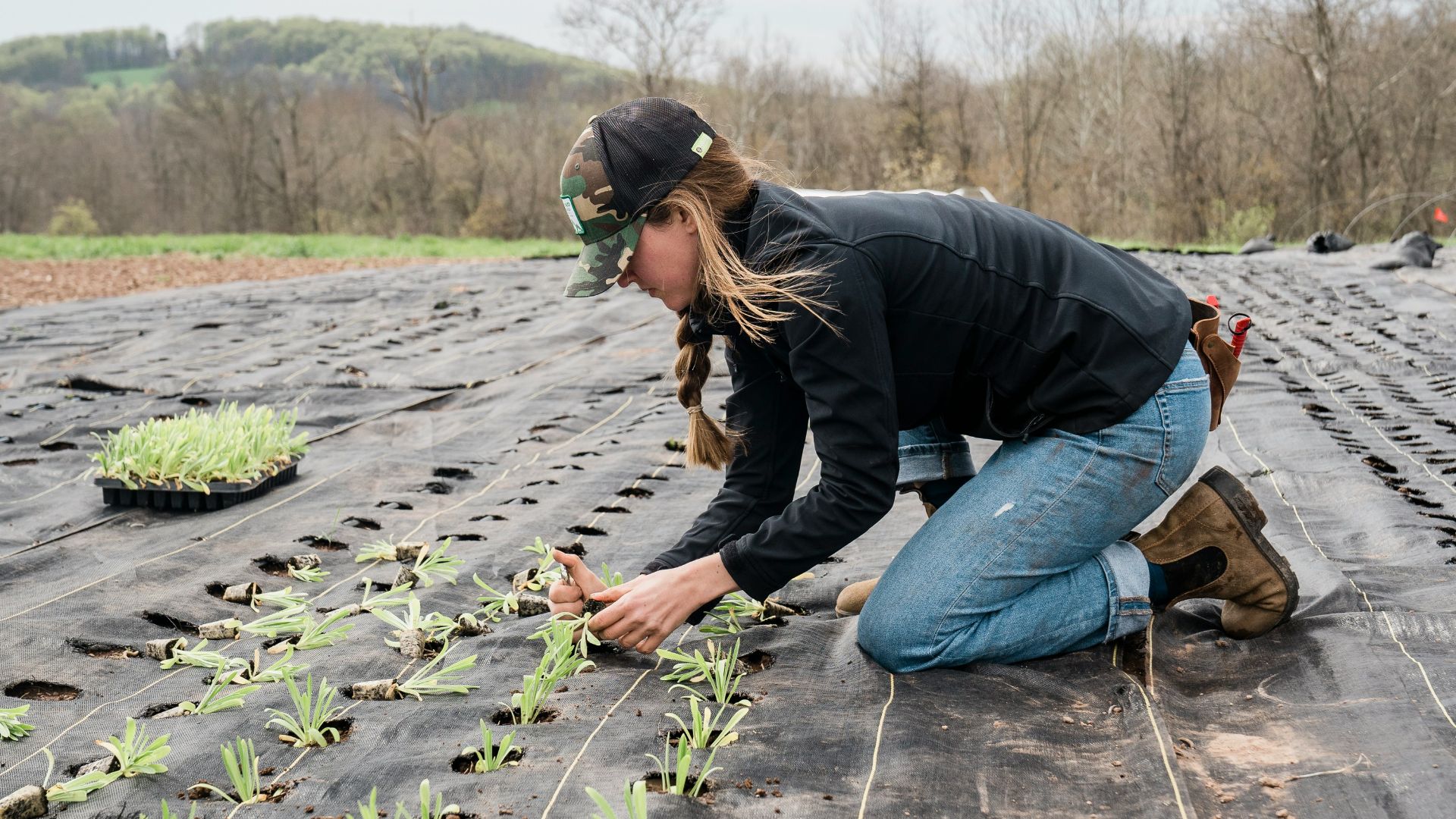 9. La survie des petites exploitations agricoles
