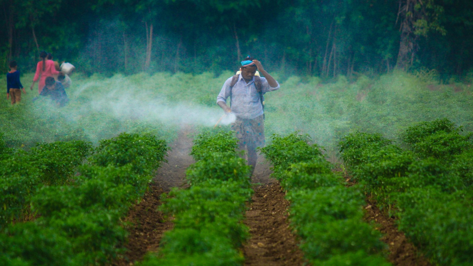 7. Les pesticides existent toujours