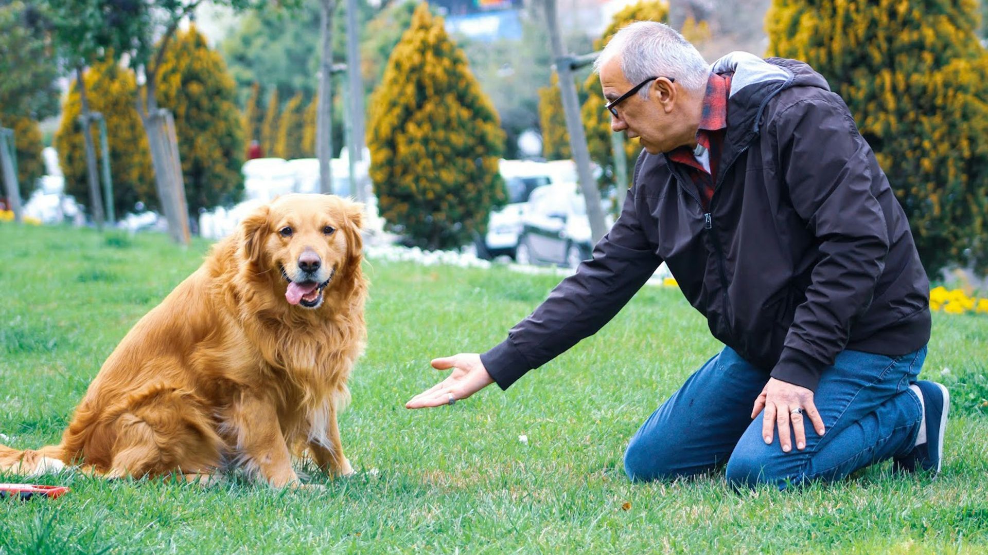 12. Adopter un chien