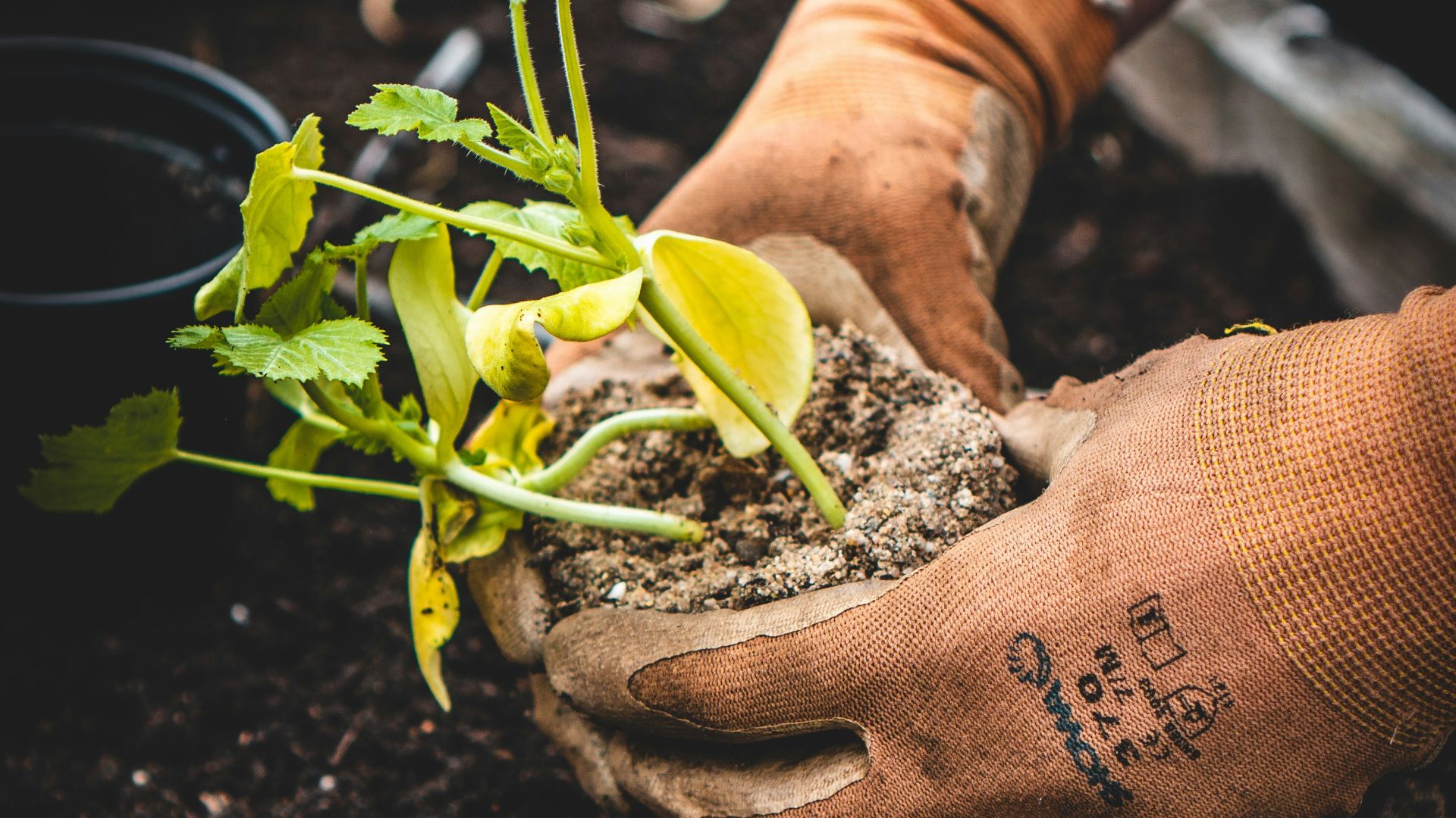 15. Rejoindre un jardin communautaire
