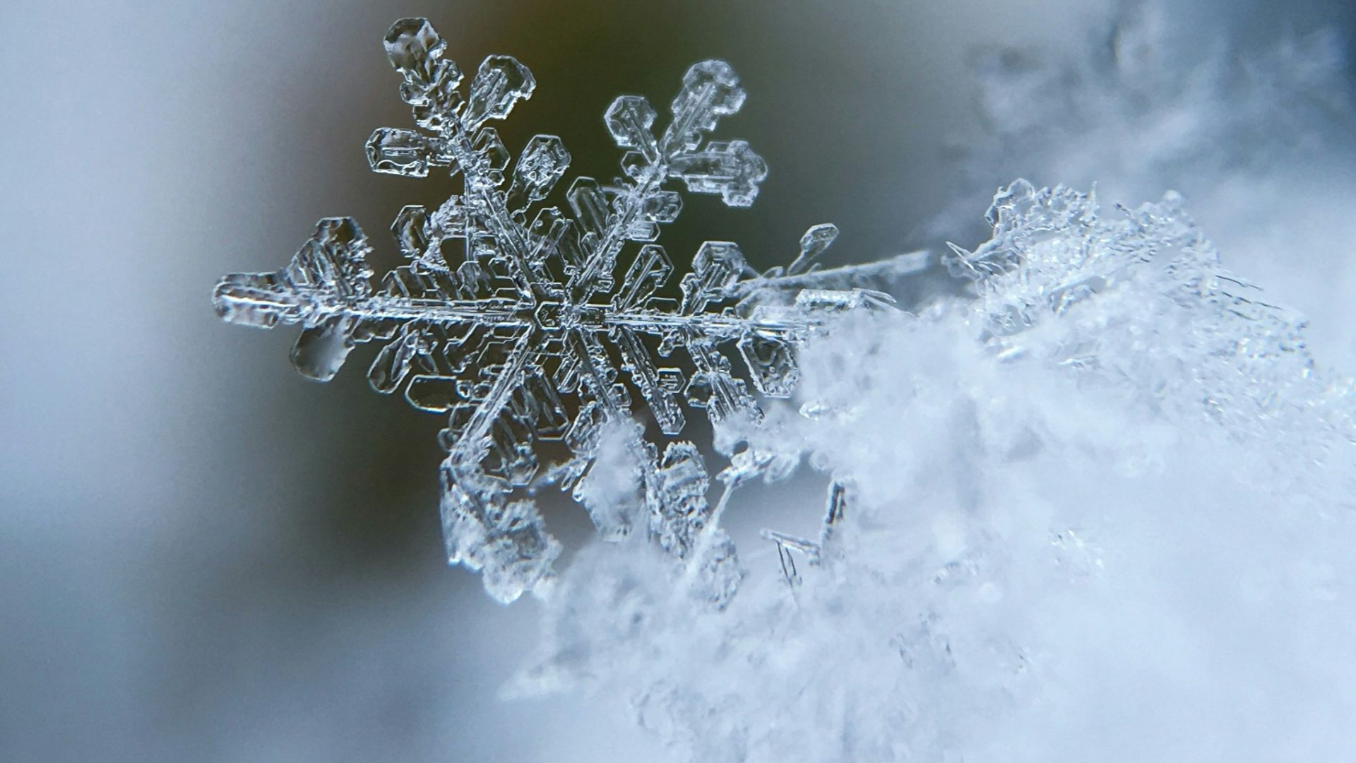 2. Jours de neige
