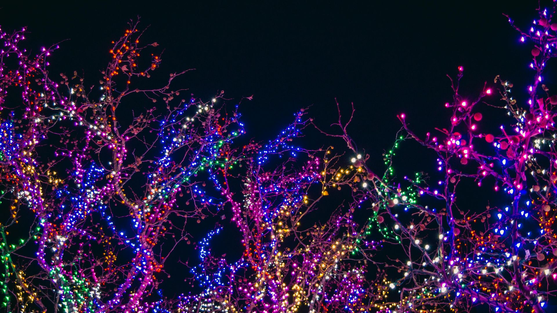 6. Guirlandes lumineuses