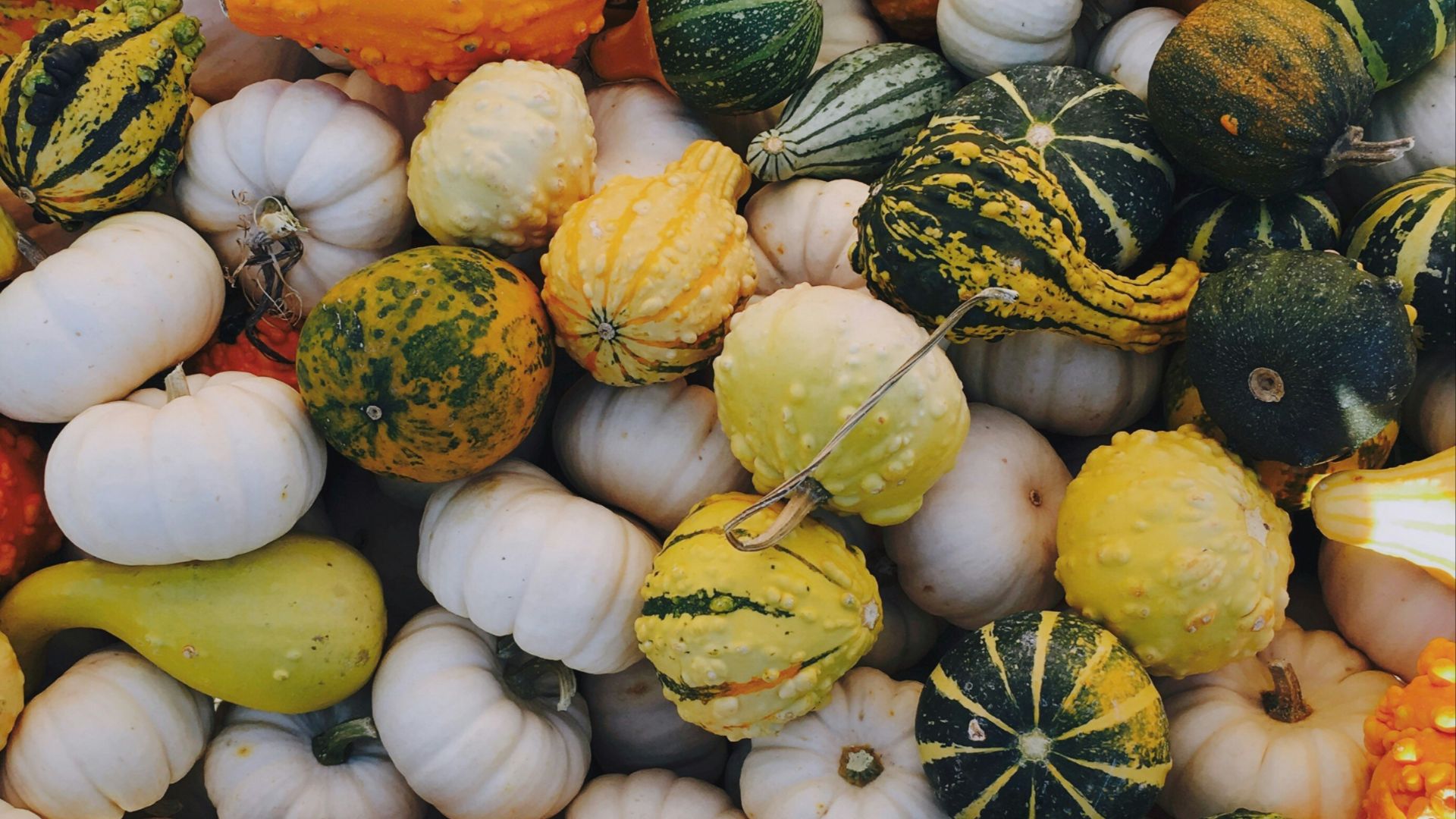 9. Produits de saison