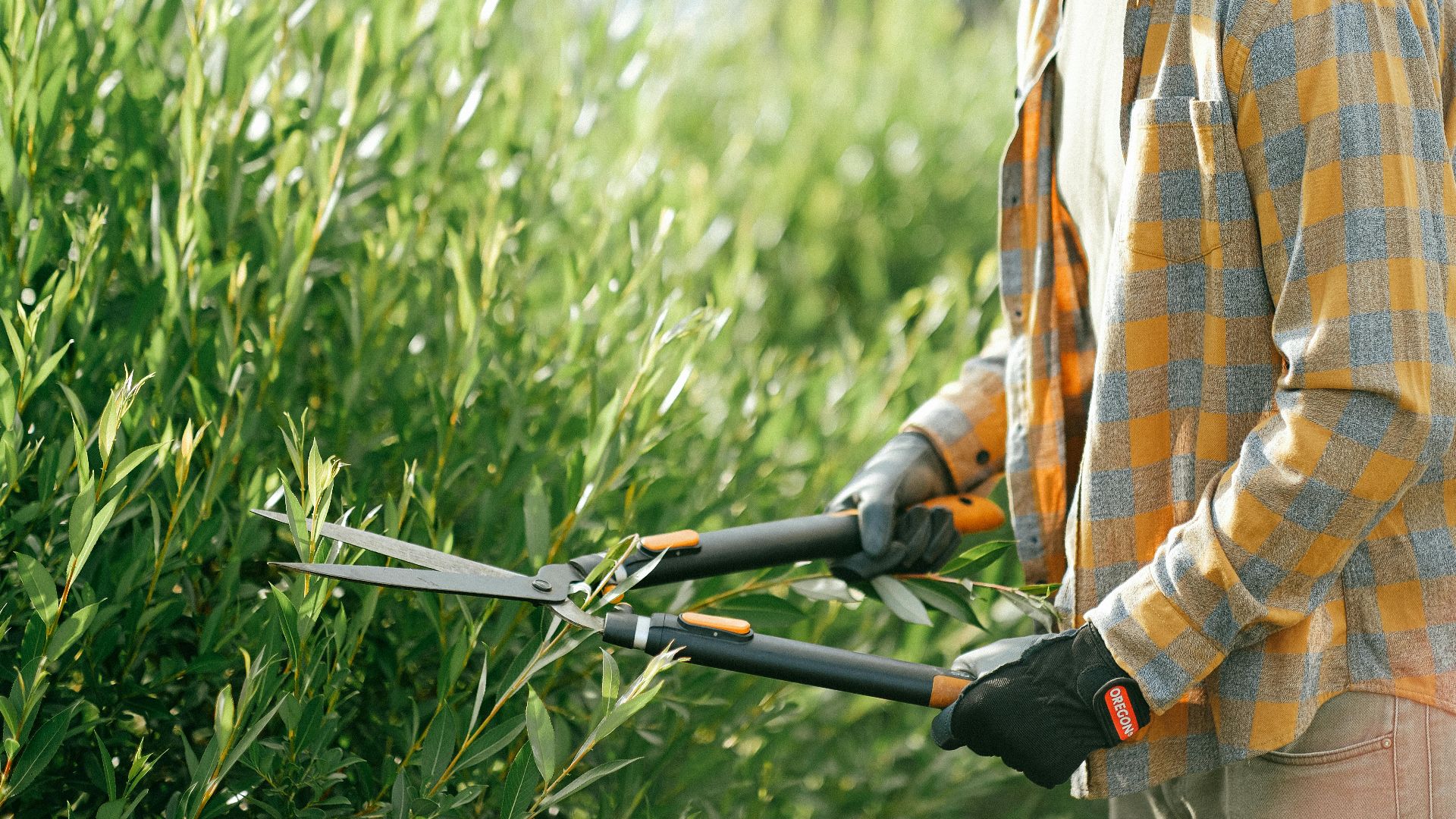 9. Jardinage et aménagement paysager