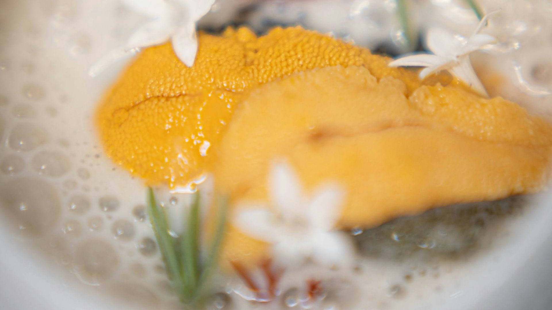2. Uni