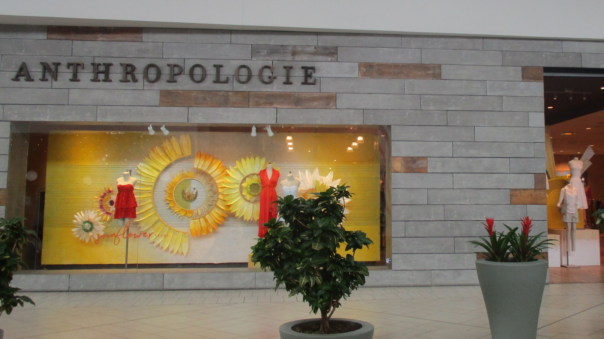8. Anthropologie