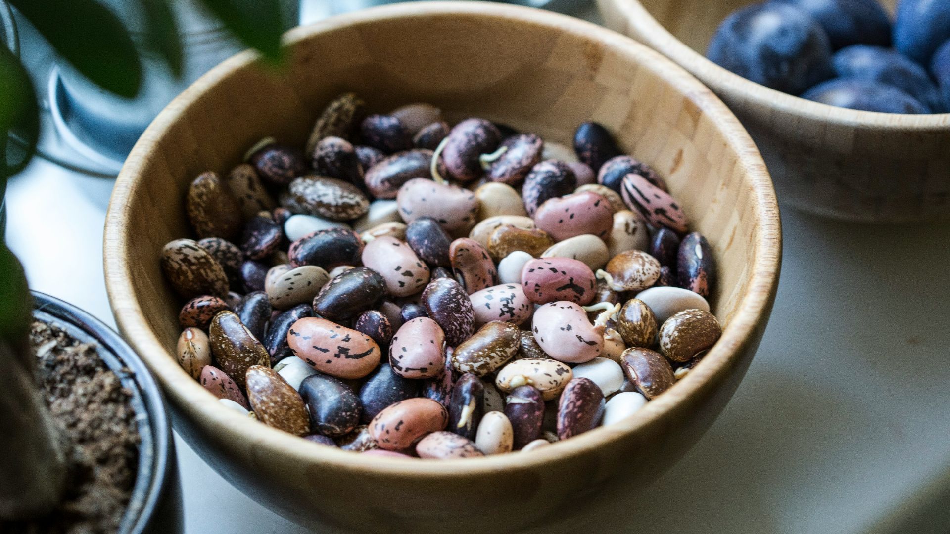 6. Adopter les légumineuses et les haricots