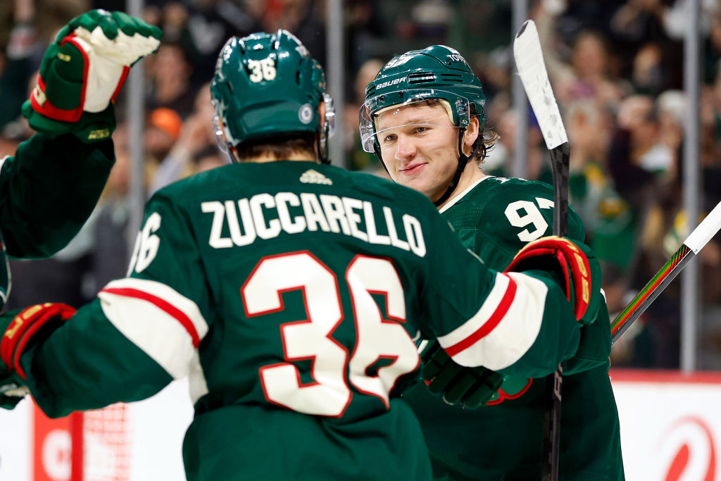 Minnesota Wild (5-6-3)