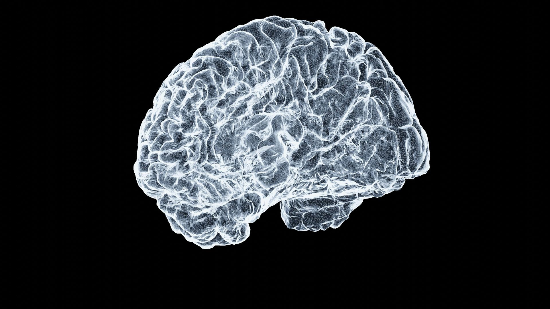 3. Il rétrécit le cerveau