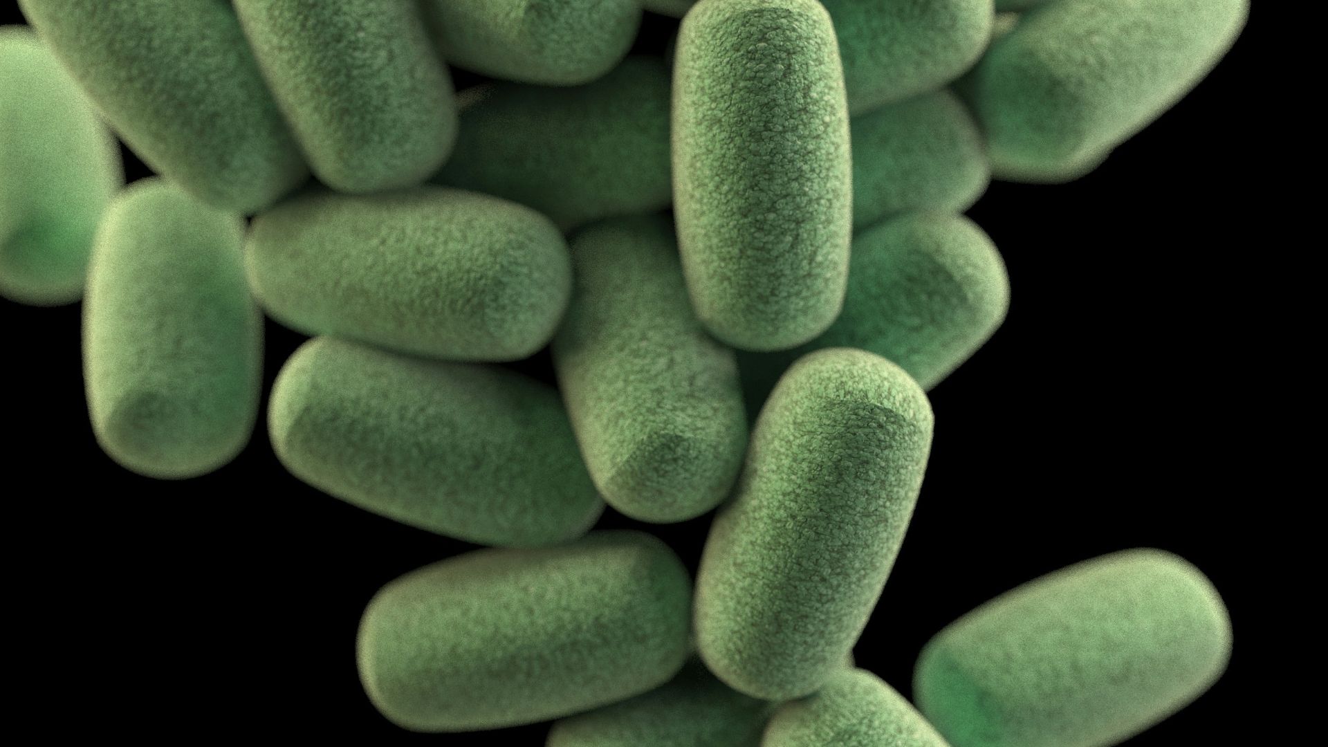 13. Il détruit votre microbiome intestinal