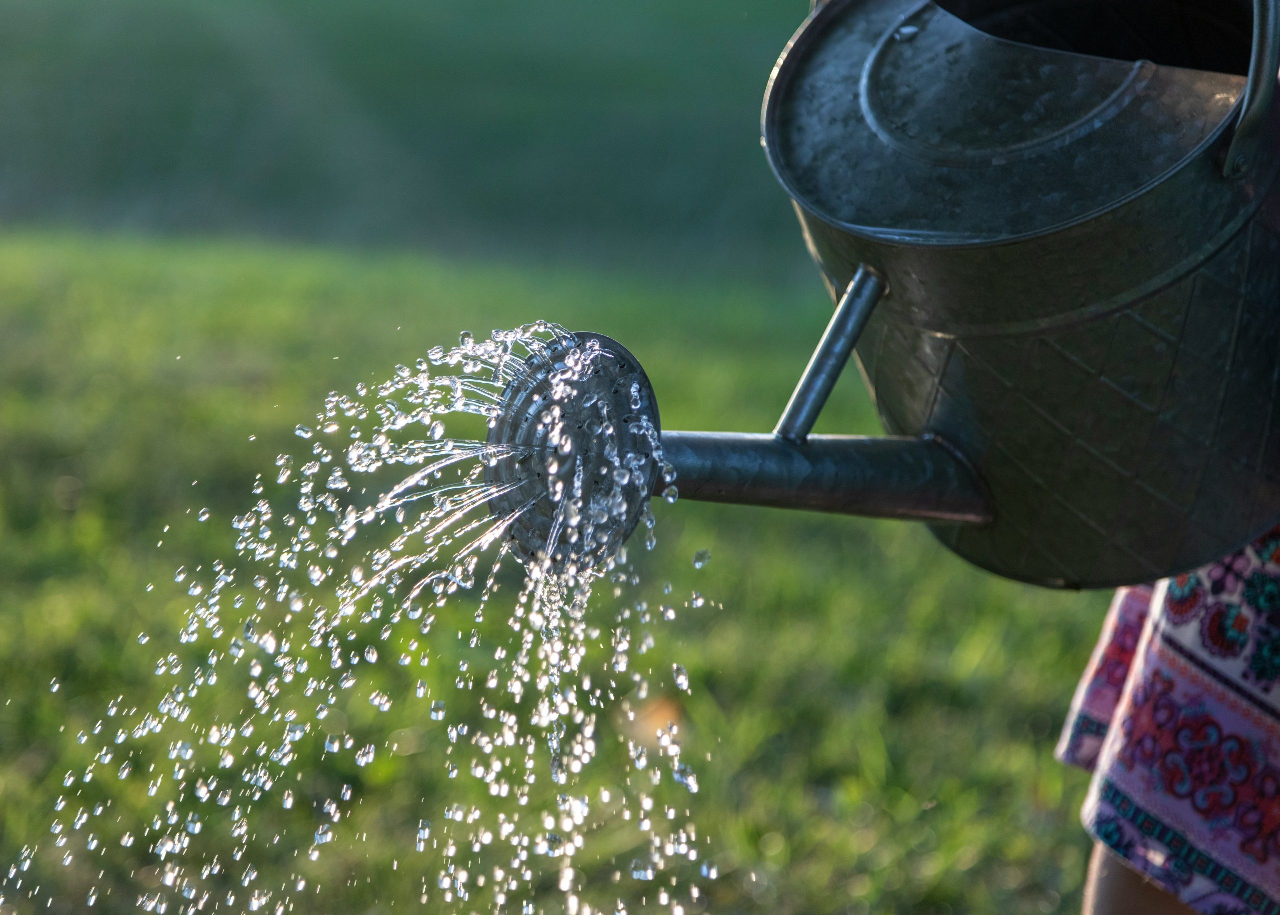 Rainwater harvesting