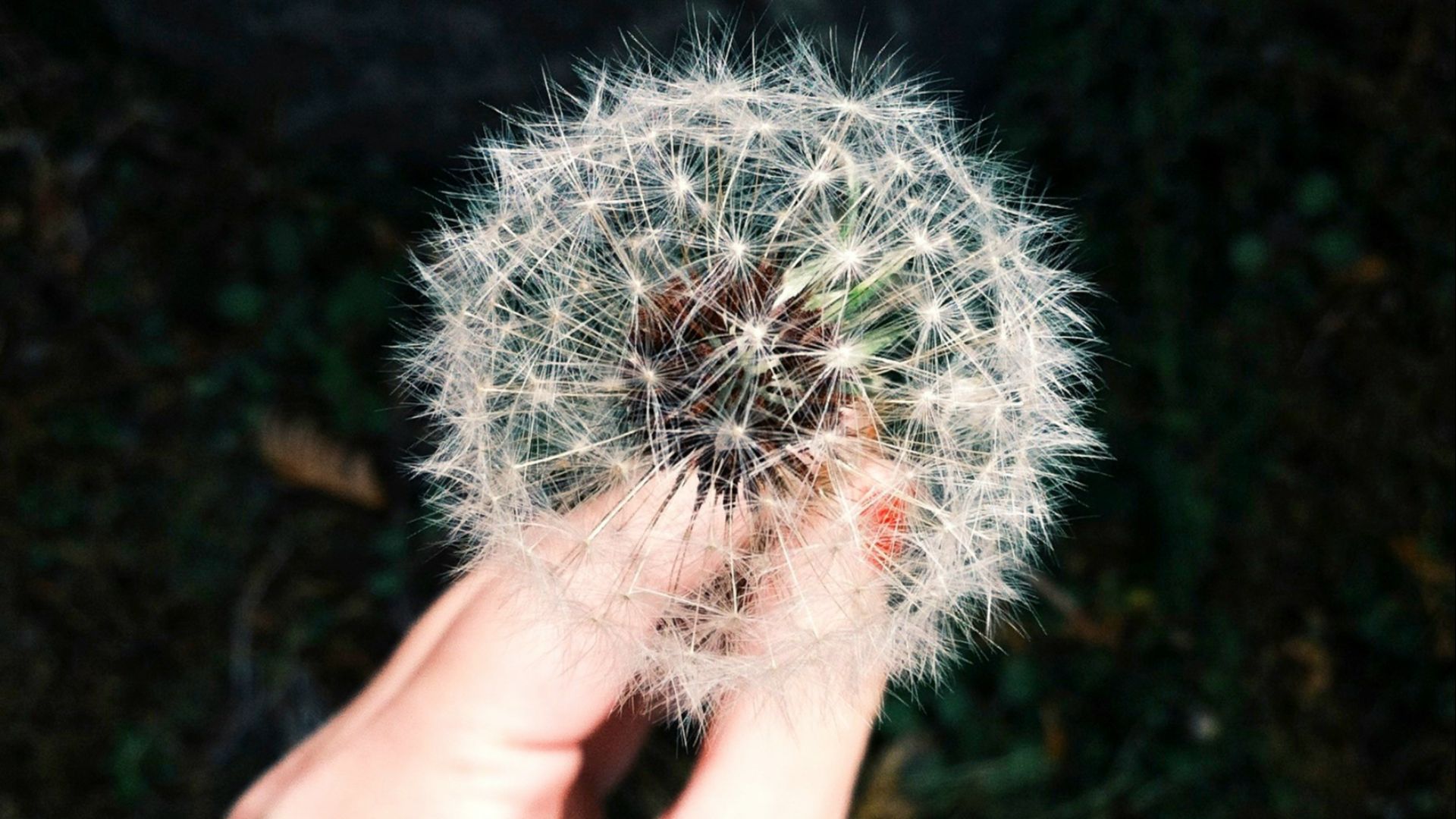 16. Immunothérapie microdosée pour les allergies