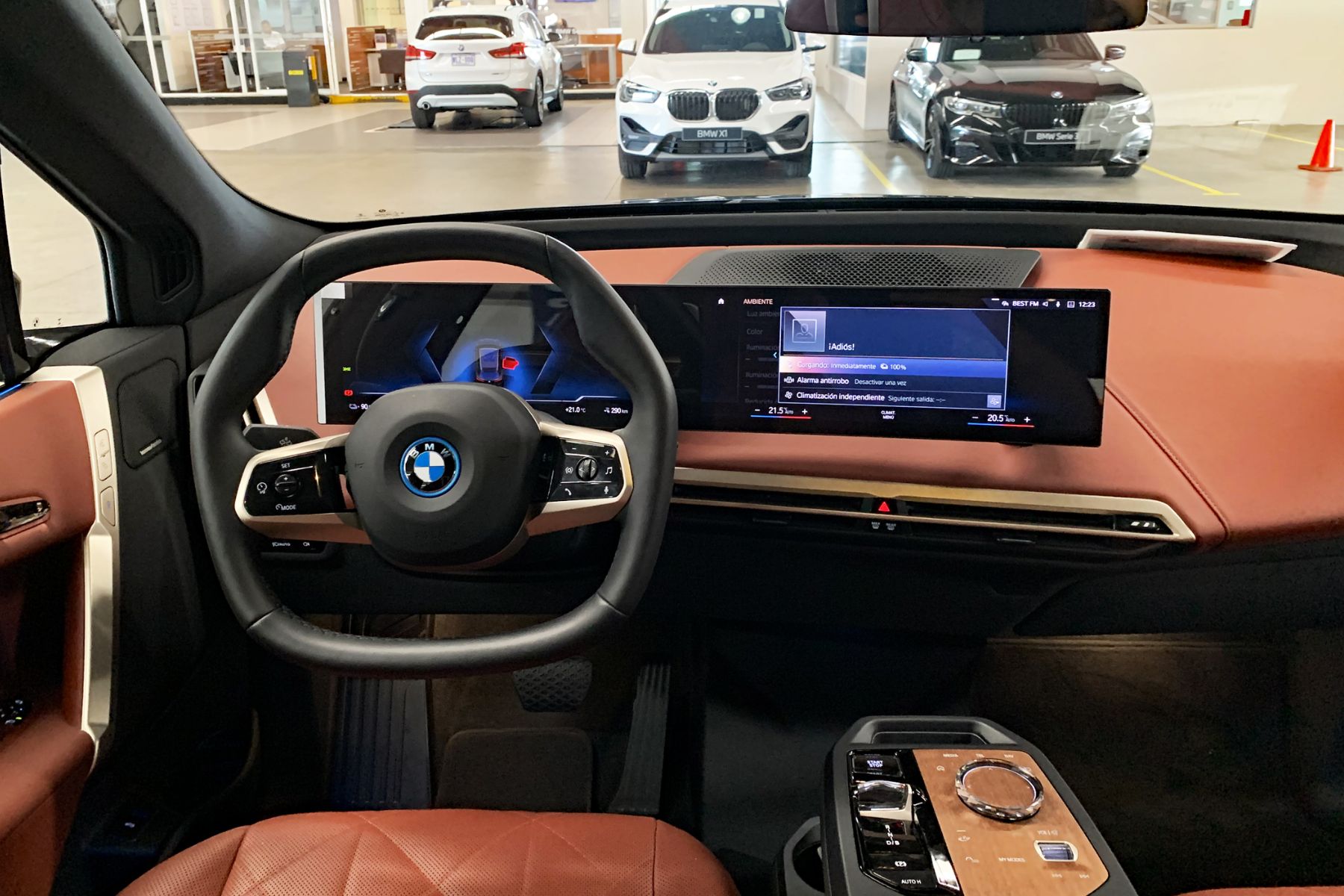 BMW iX